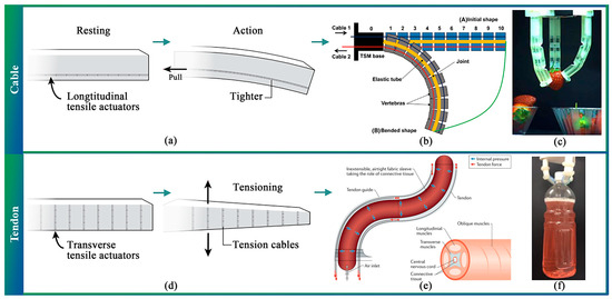 Sensors 23 07905 g002
