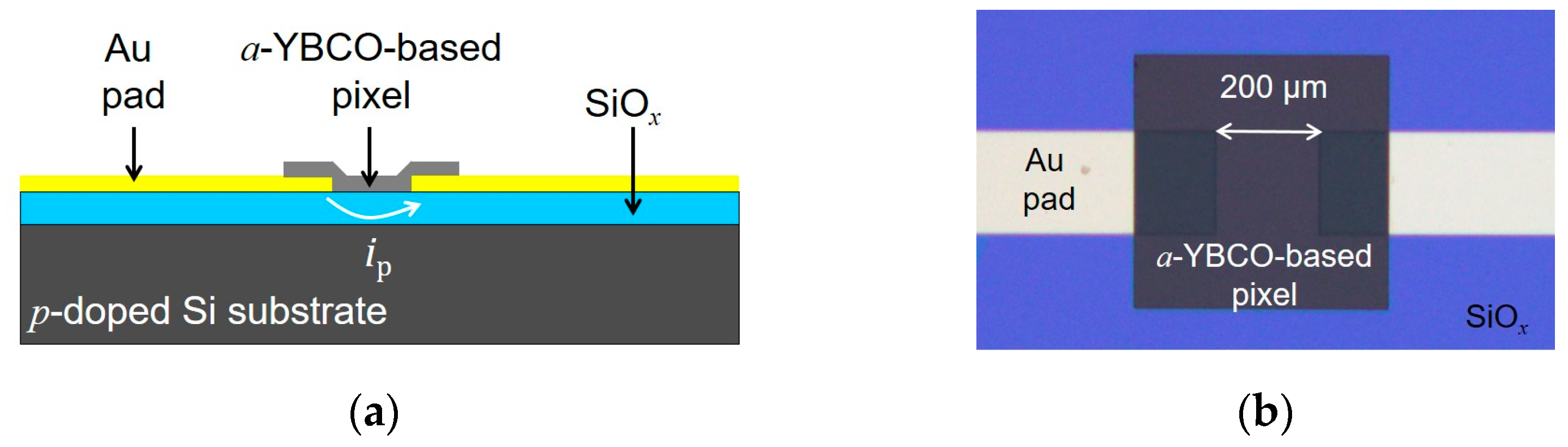 Sensors 23 07934 g001