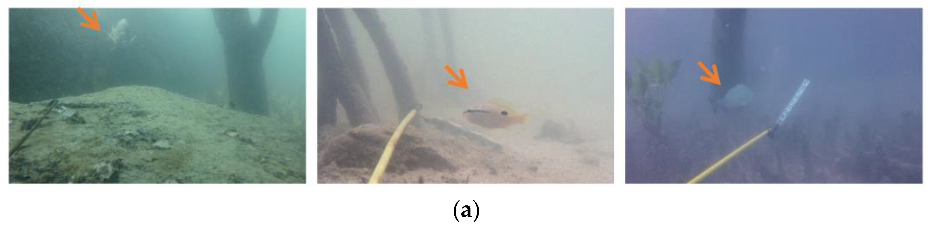 Sensors 23 08072 g005a