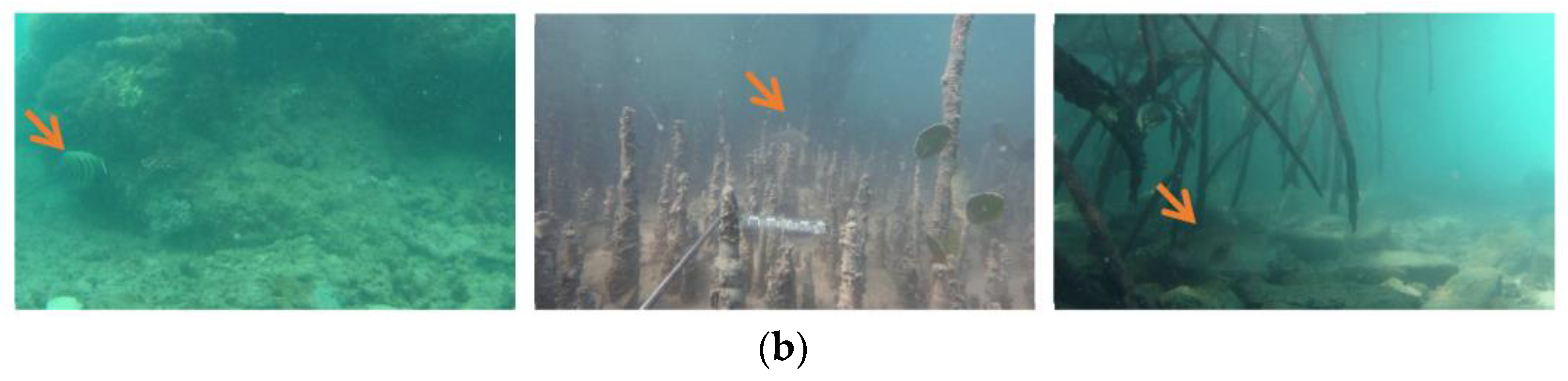 Sensors 23 08072 g005b