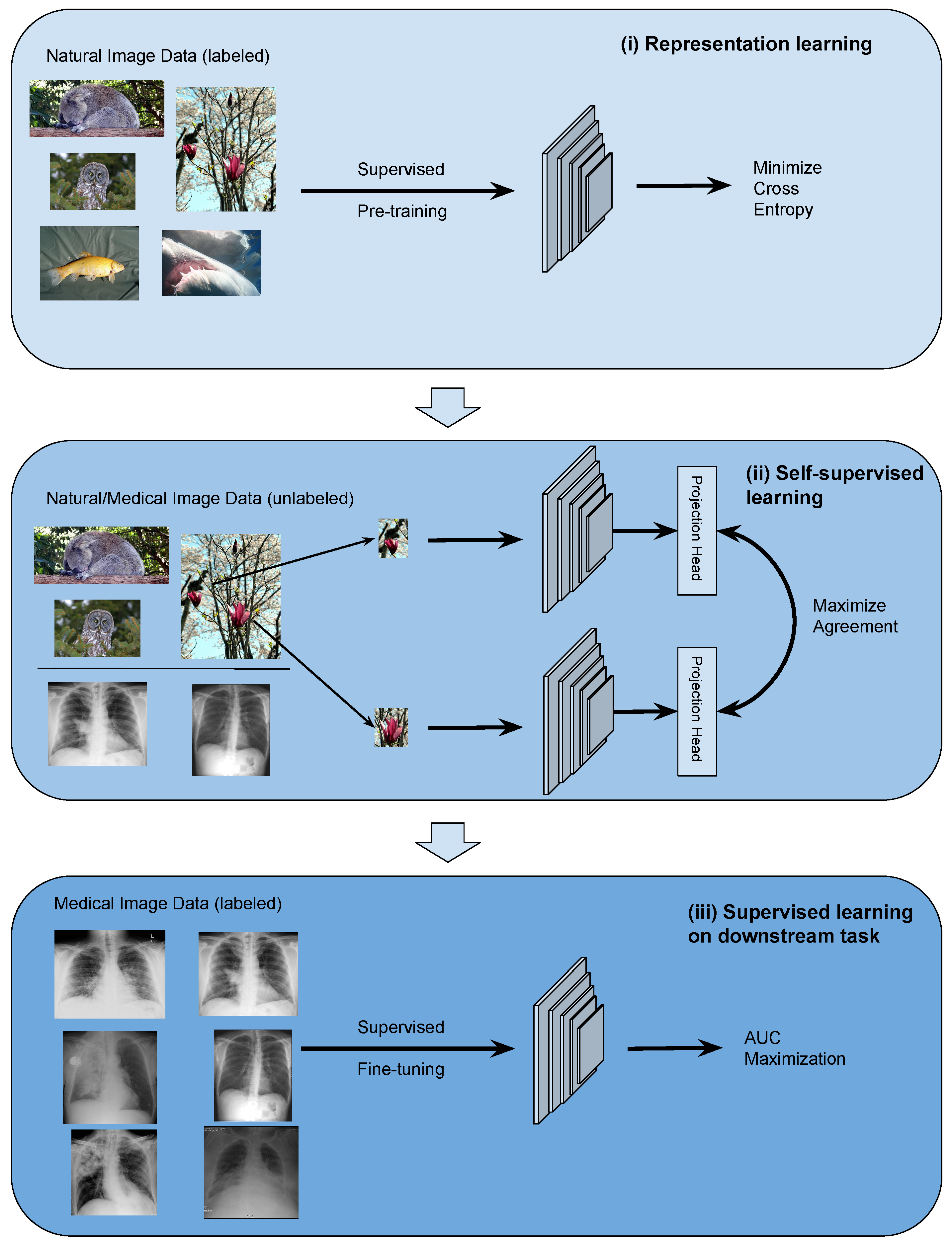 Sensors 23 08122 g001
