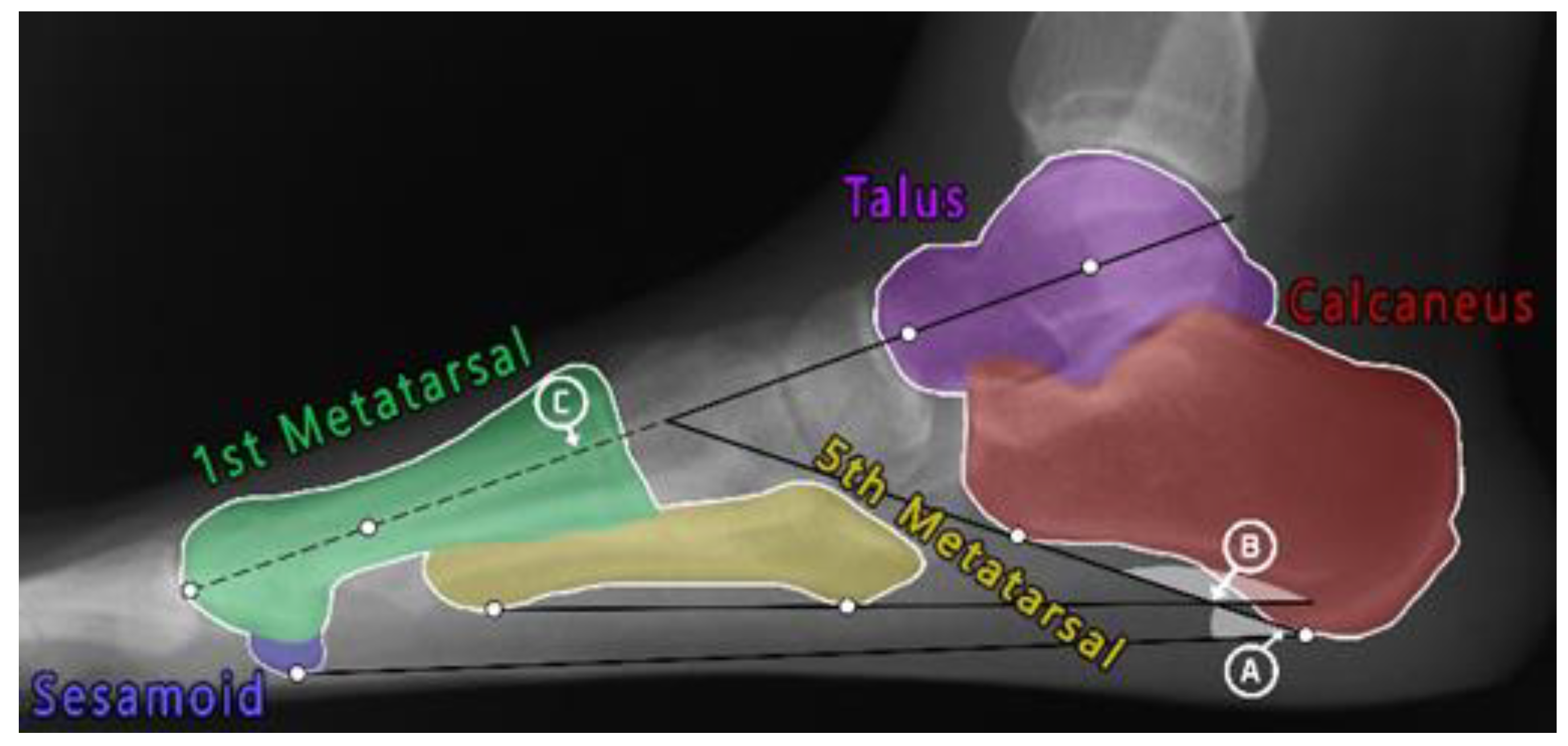 Sensors 23 08219 g001