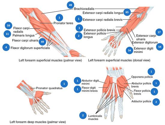 Sensors 23 08343 g007