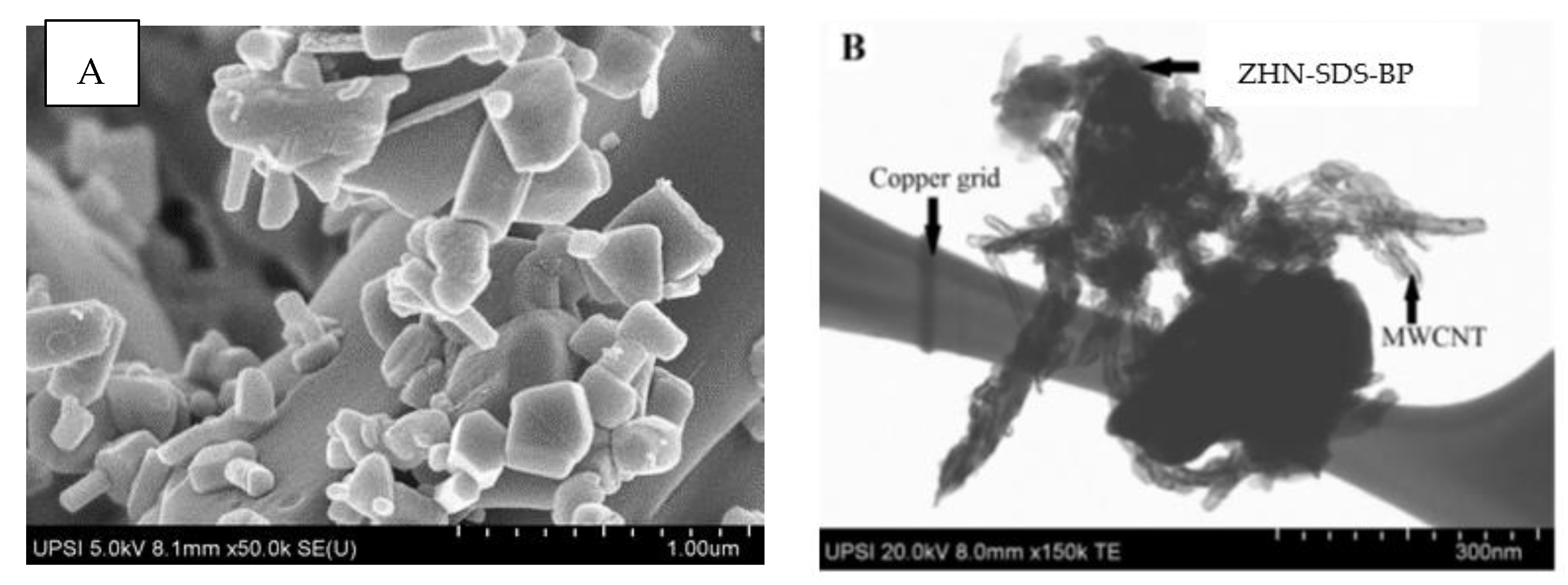 Sensors 23 08366 g001