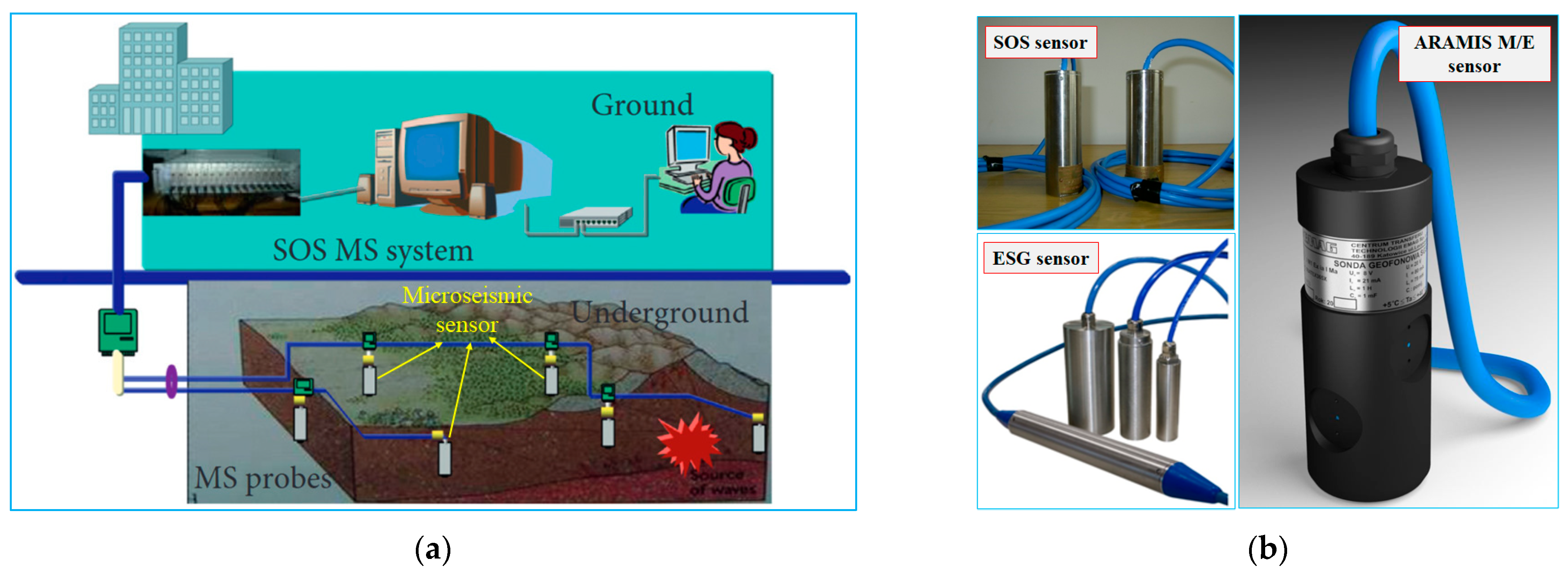 Sensors 23 08420 g001