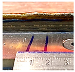 Sensors 23 08498 i009