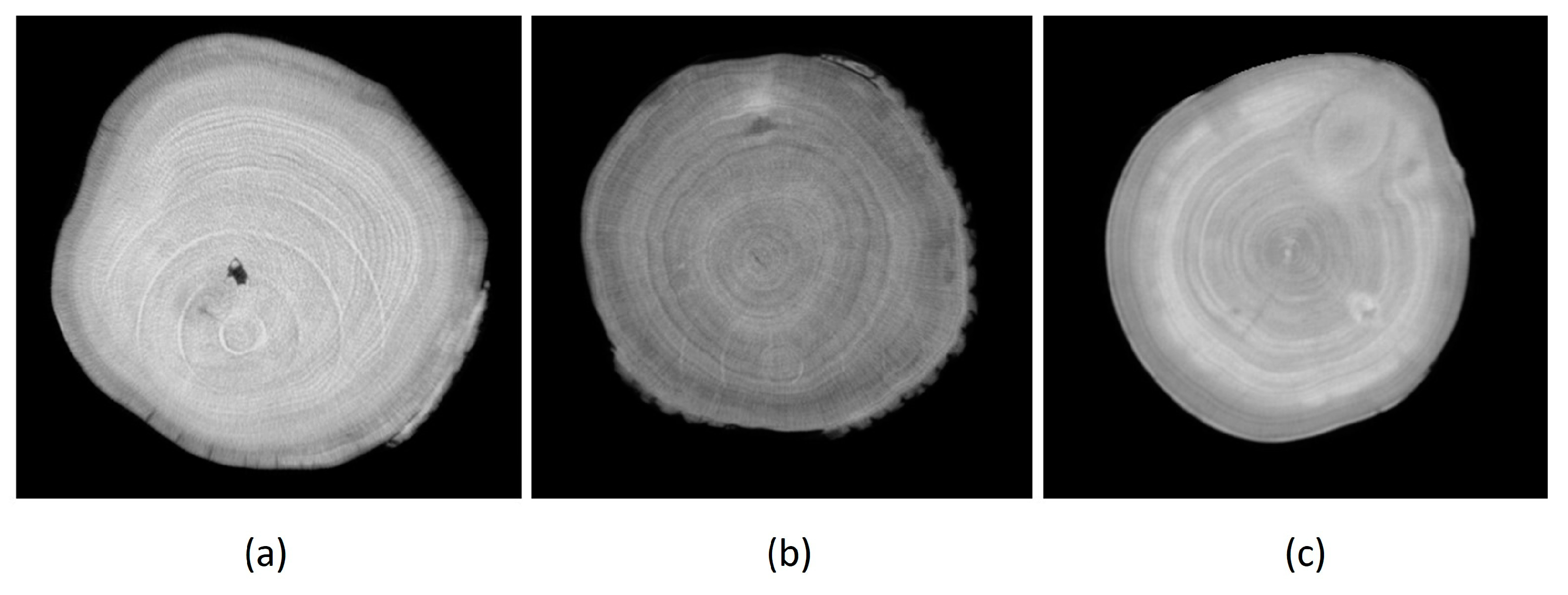 Sensors 23 08505 g003
