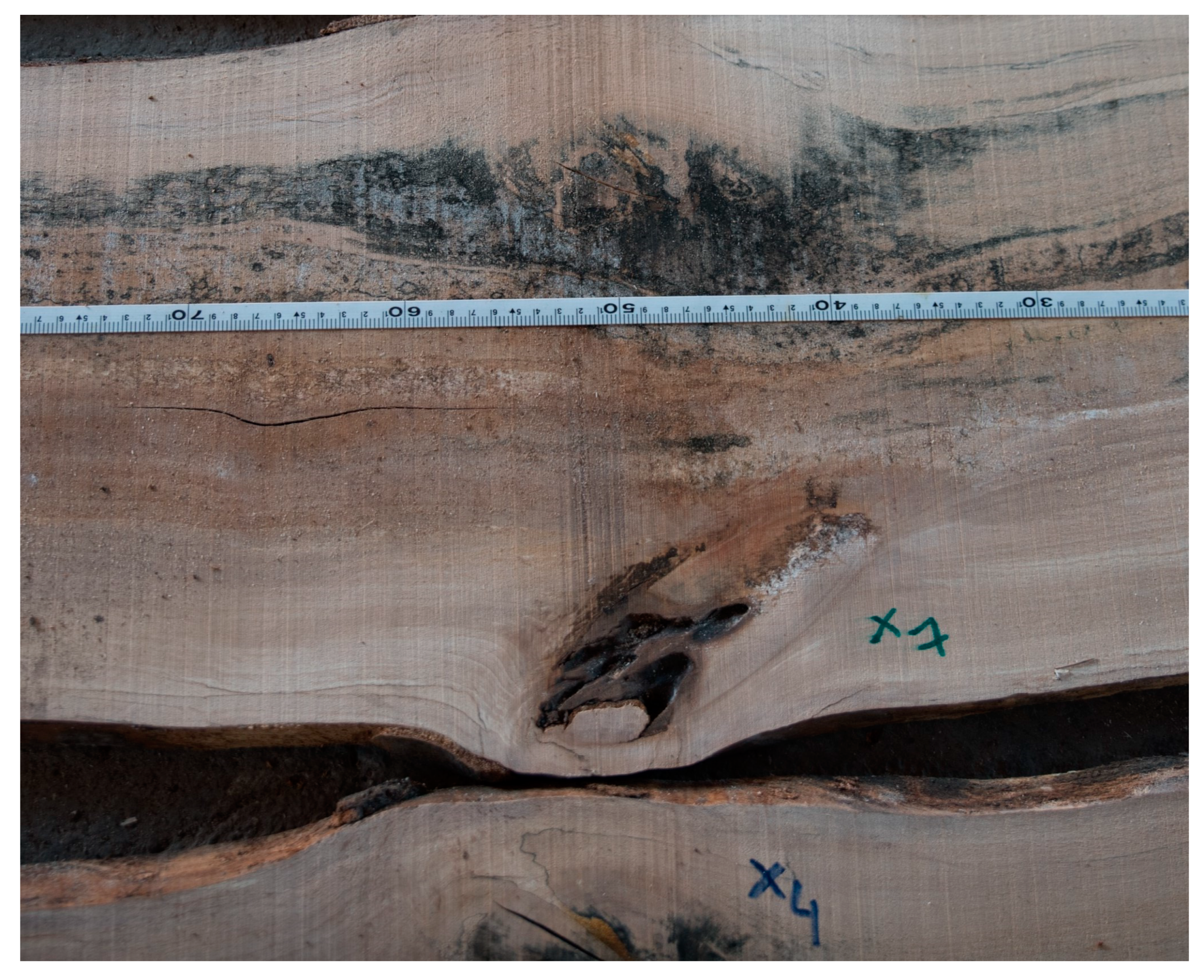 Sensors 23 08505 g006