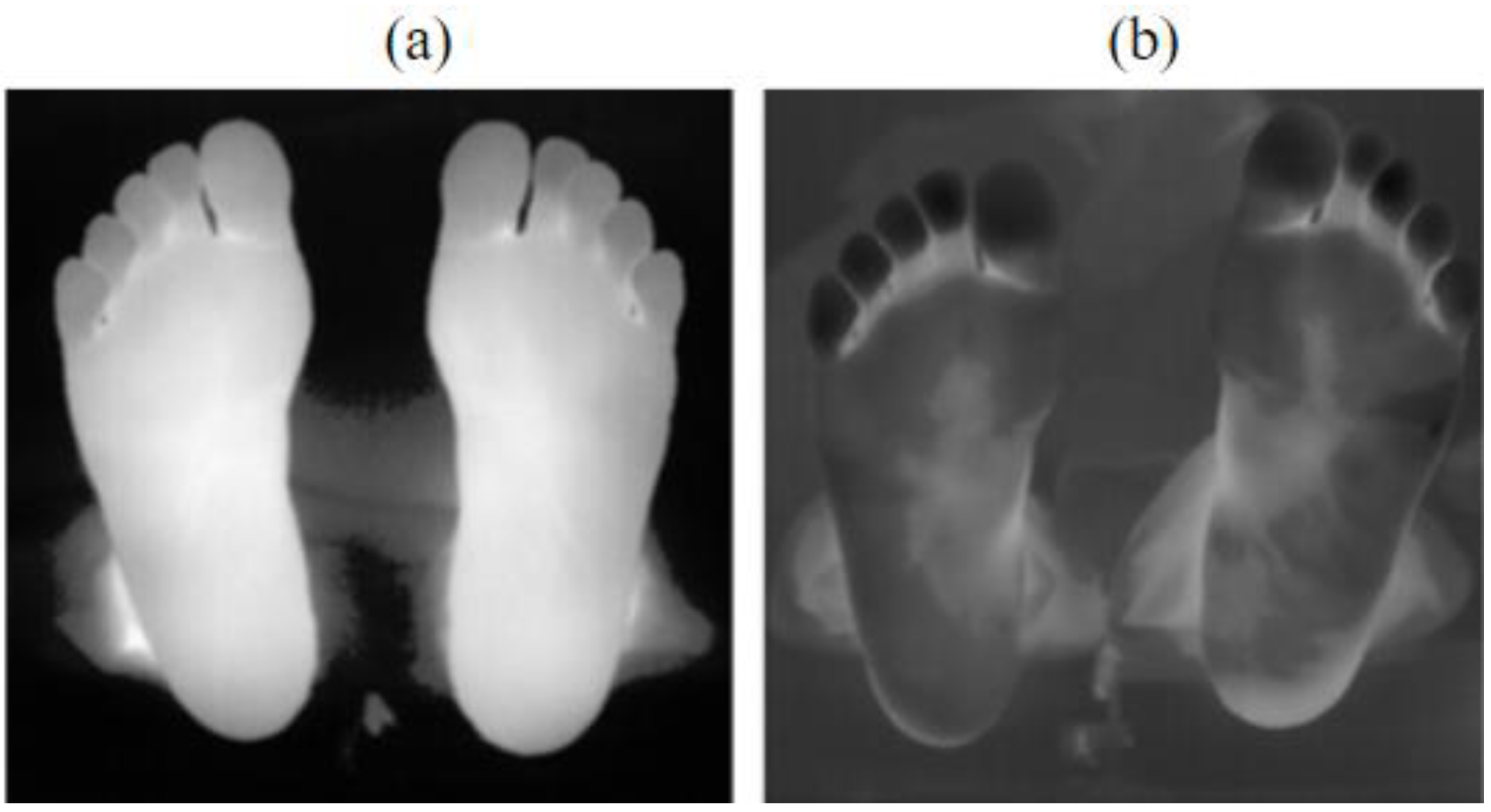 Sensors 23 08511 g008