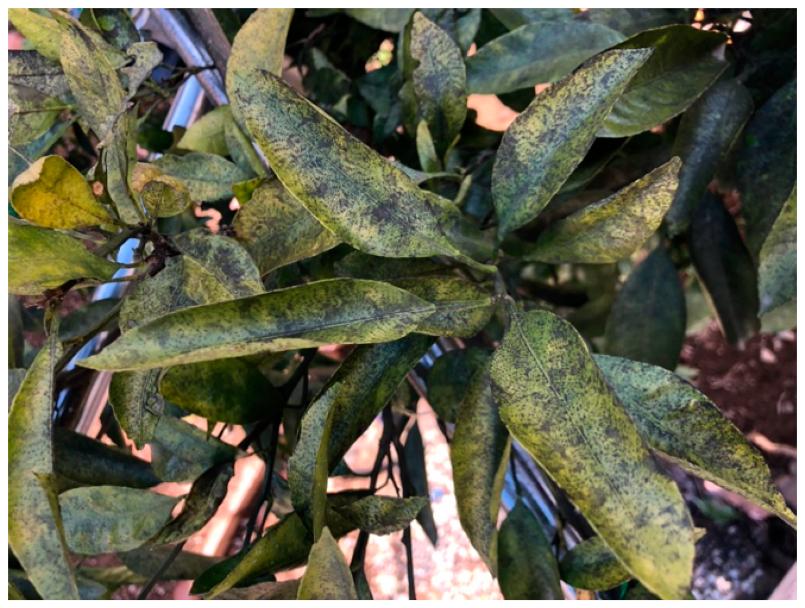 Sensors 23 08519 g001