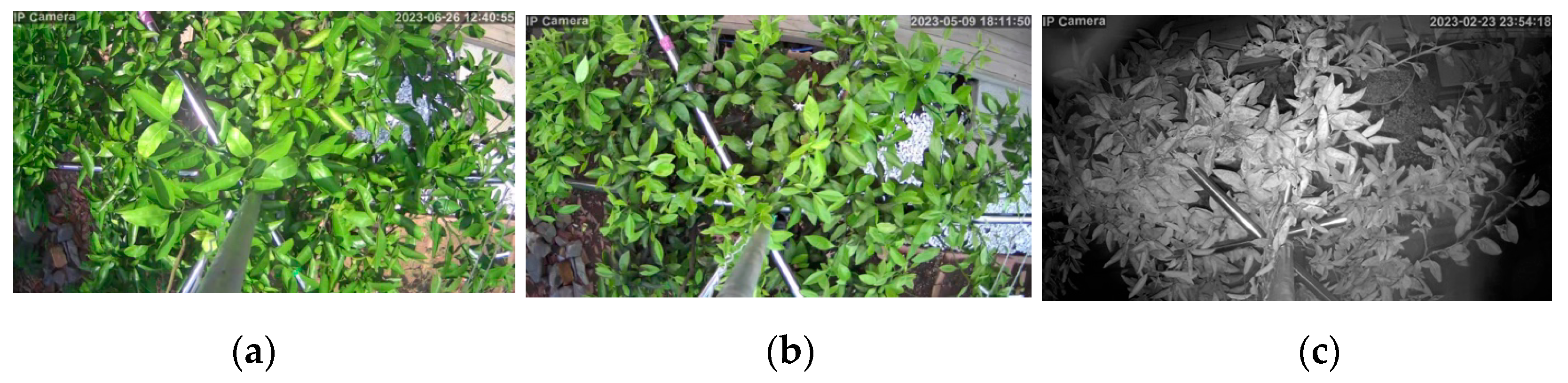 Sensors 23 08519 g004