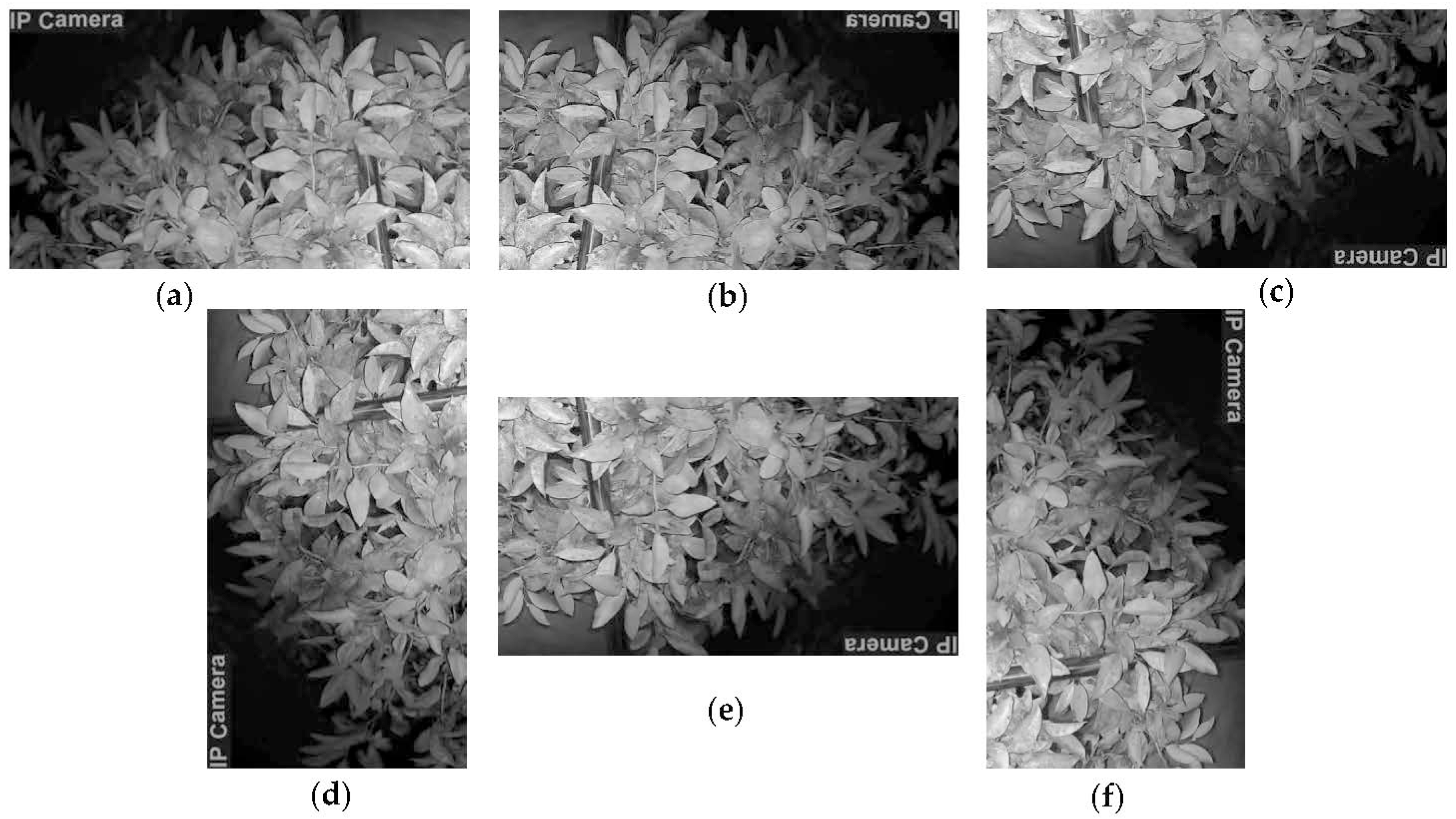 Sensors 23 08519 g005