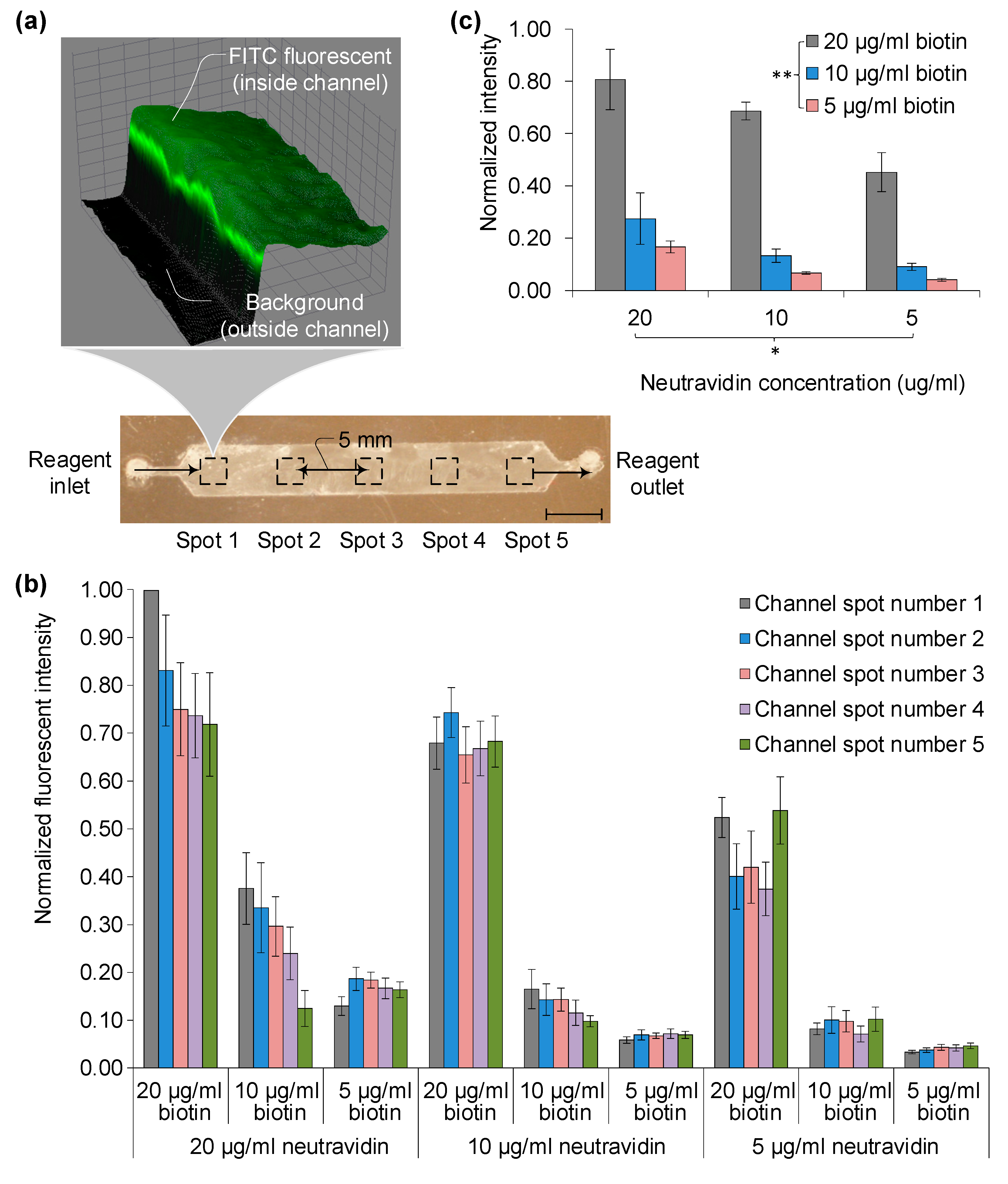 Sensors 23 08524 g003