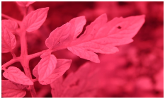 Sensors 23 08531 i002