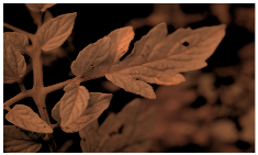 Sensors 23 08531 i003