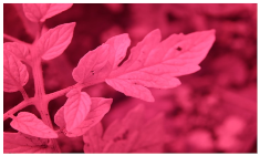 Sensors 23 08531 i005