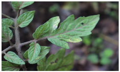 Sensors 23 08531 i017