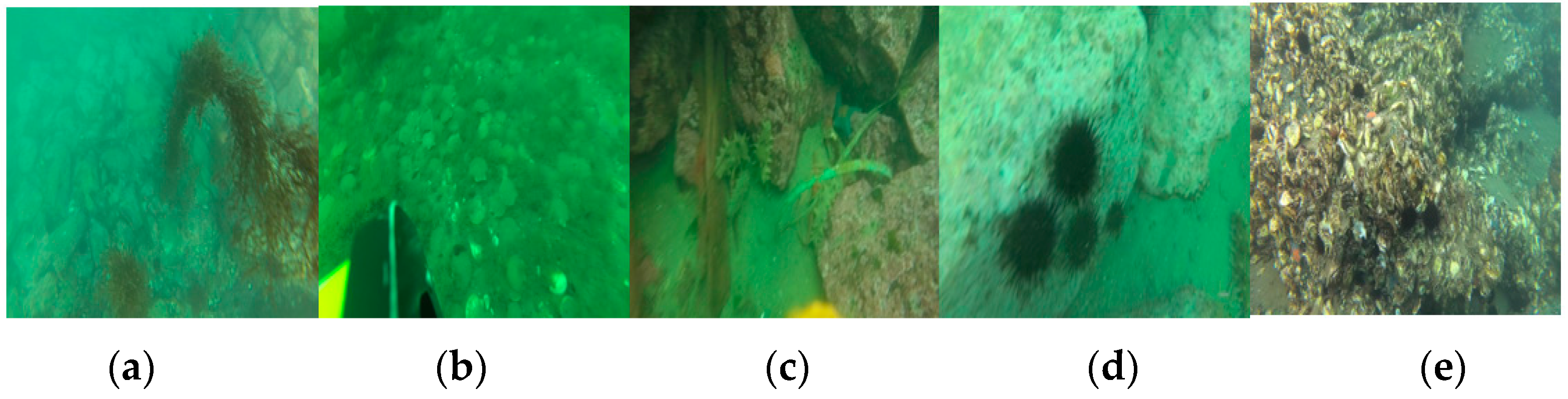 Sensors 23 08600 g007