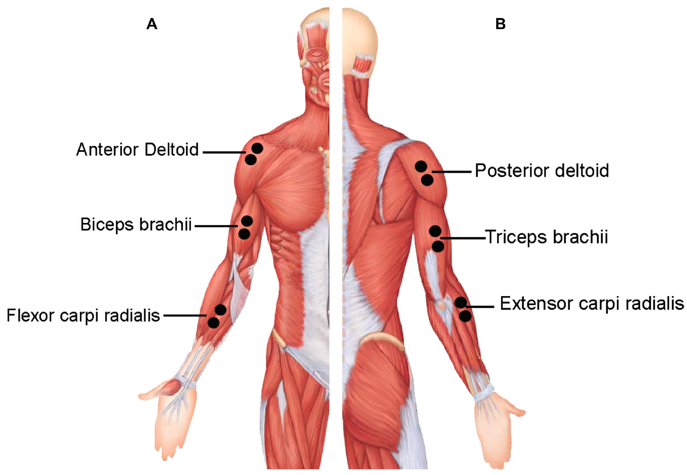 Sensors 23 08623 g001