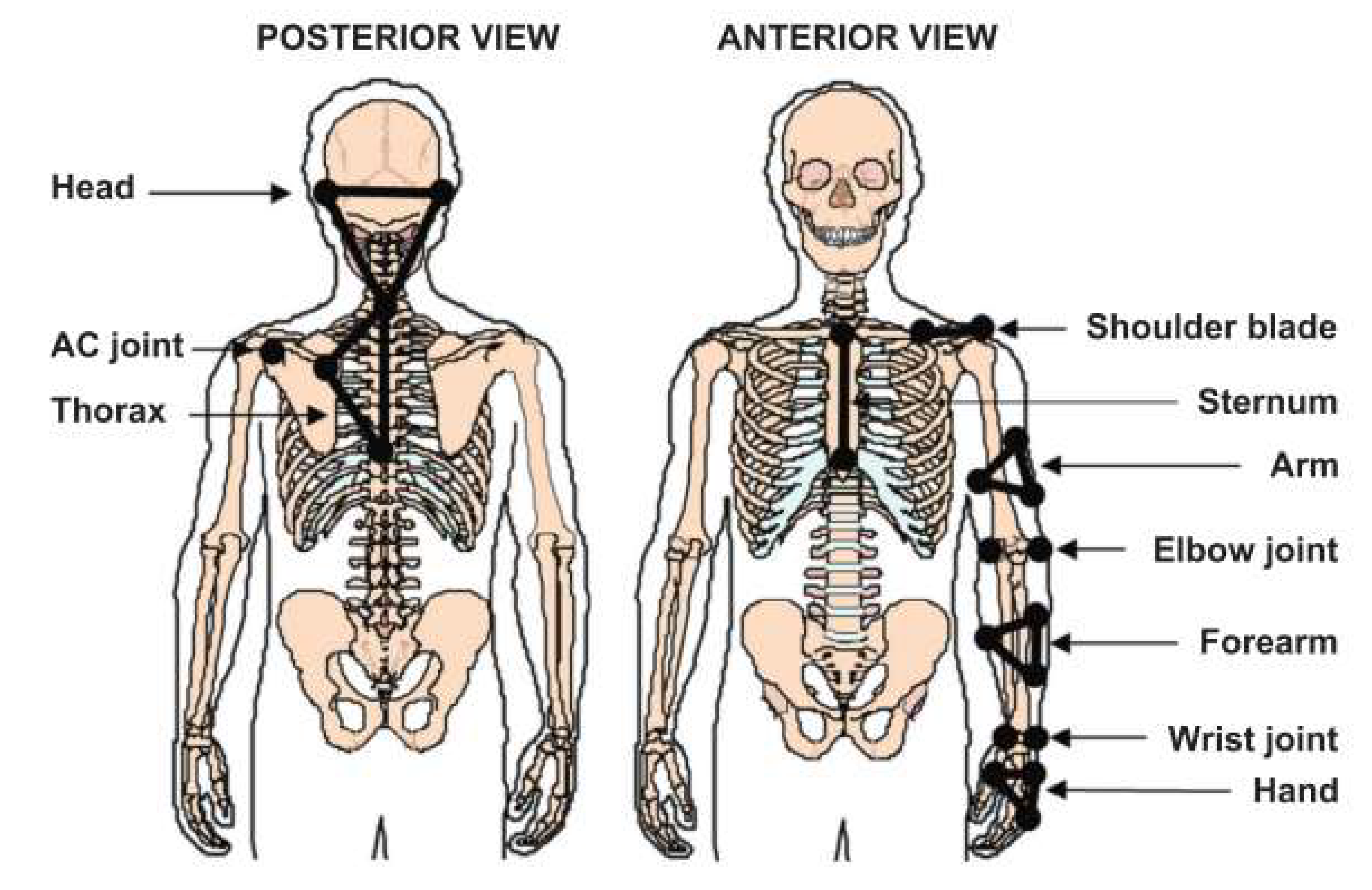 Sensors 23 08659 g001