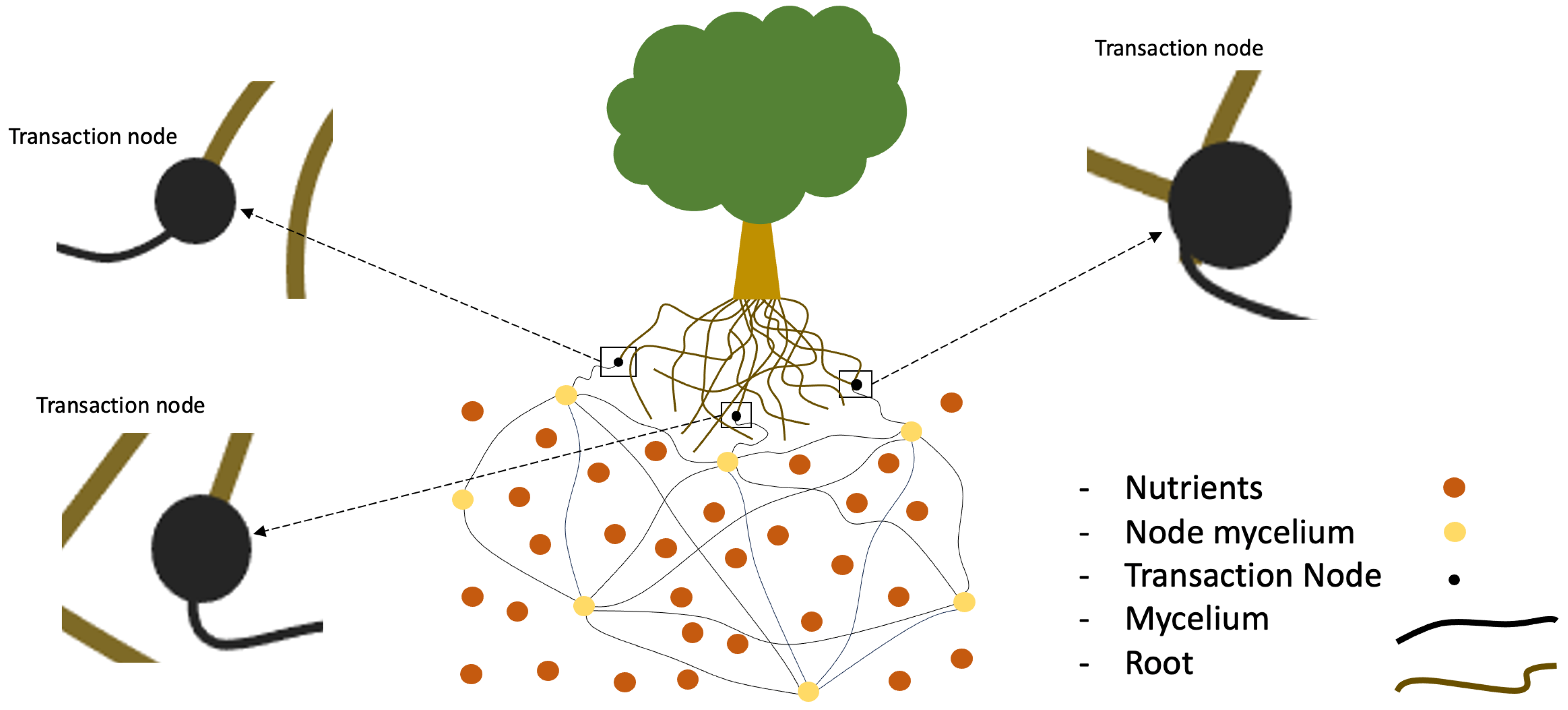 Sensors 23 08689 g005