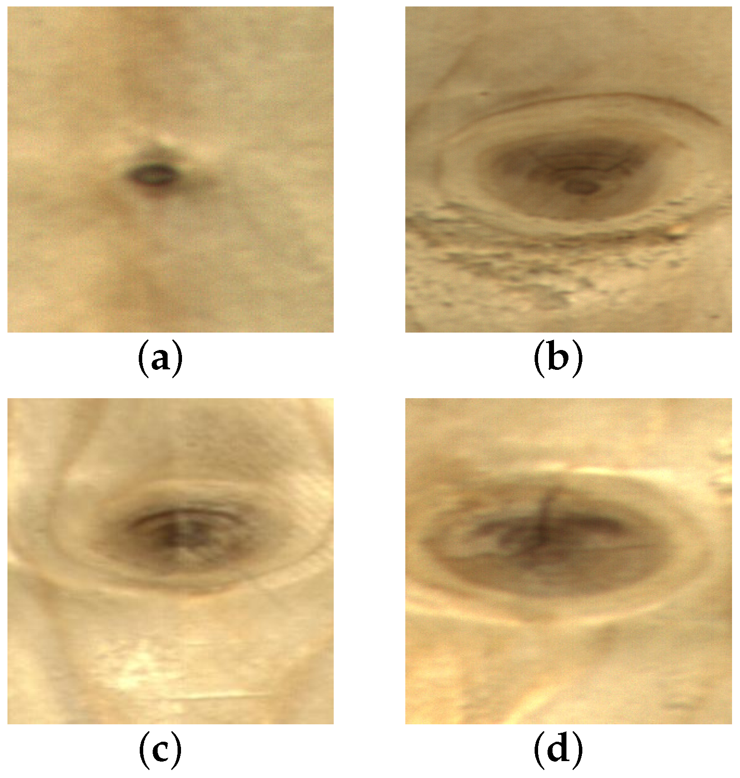 Sensors 23 08705 g001