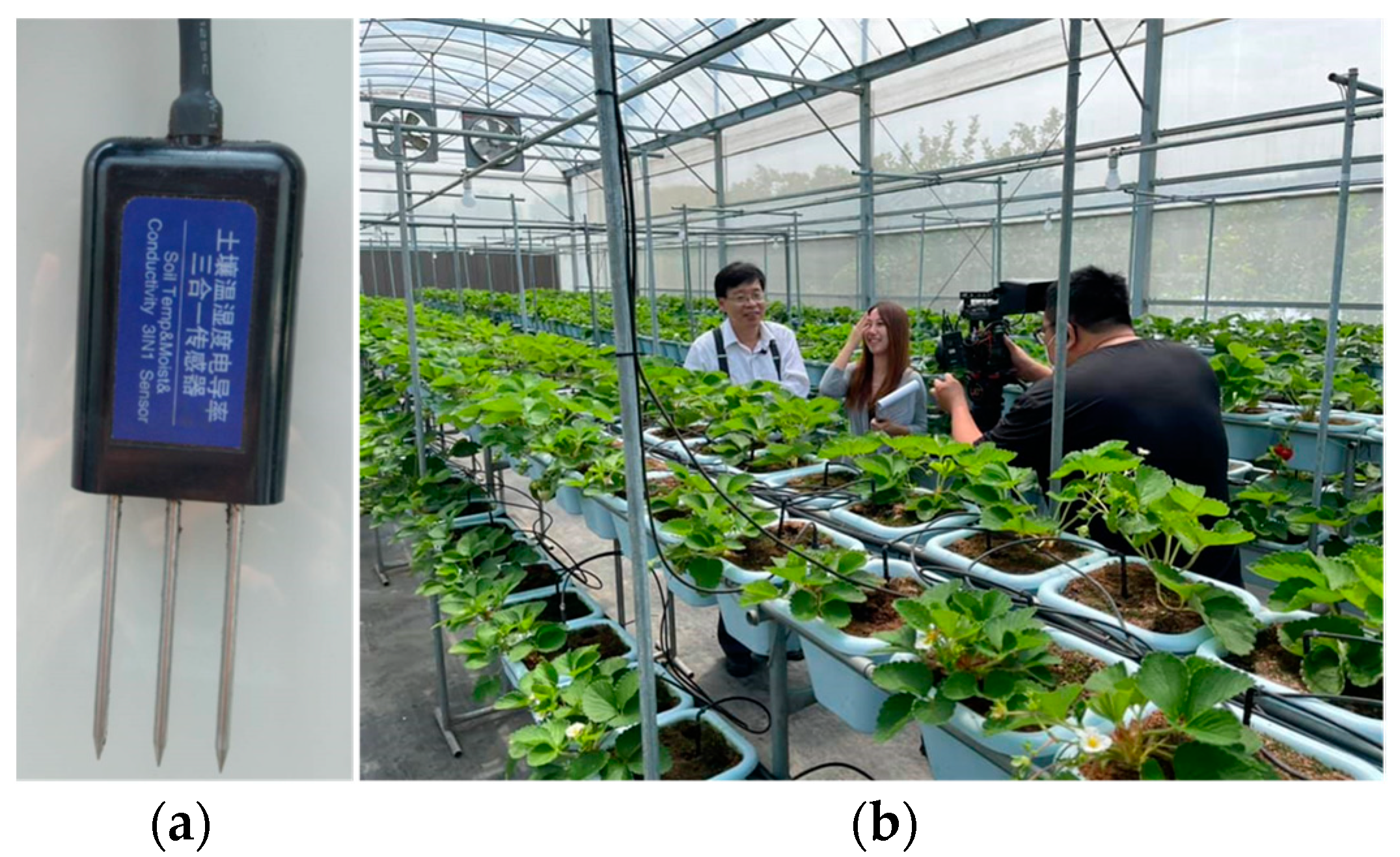 Sensors 23 08710 g001