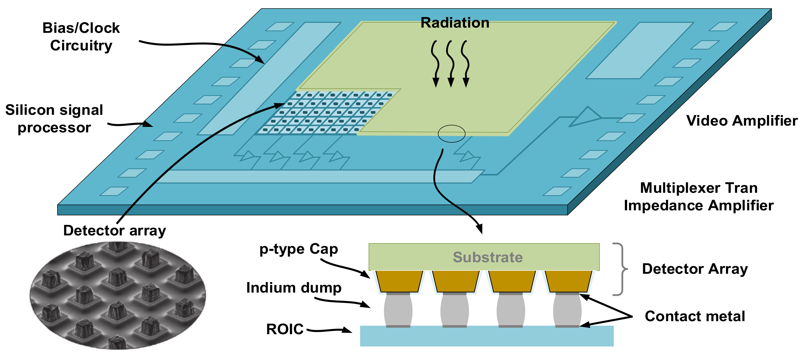 Sensors 23 08715 g001
