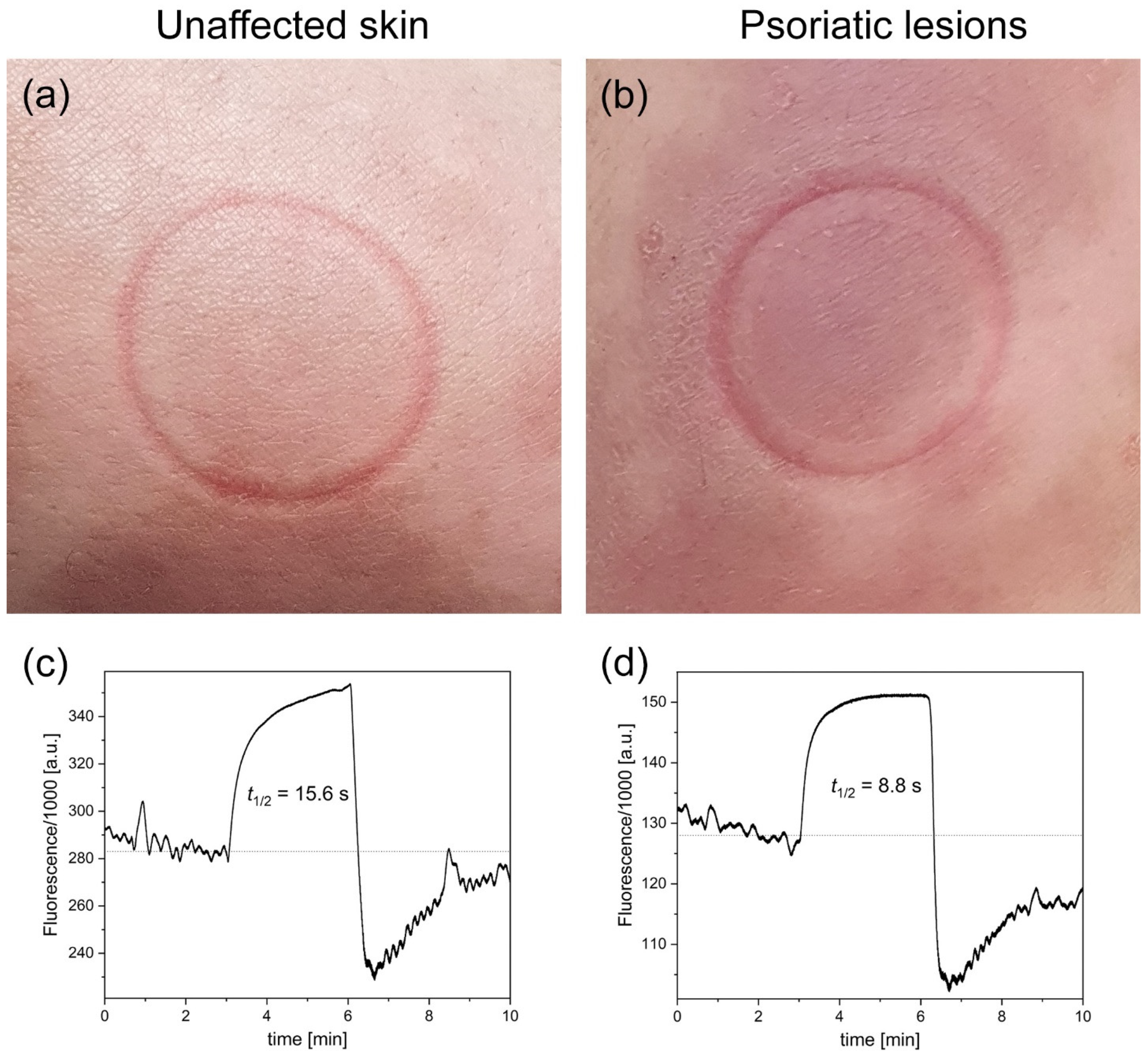 Sensors 23 08718 g001 Sensors 23 08718 g001