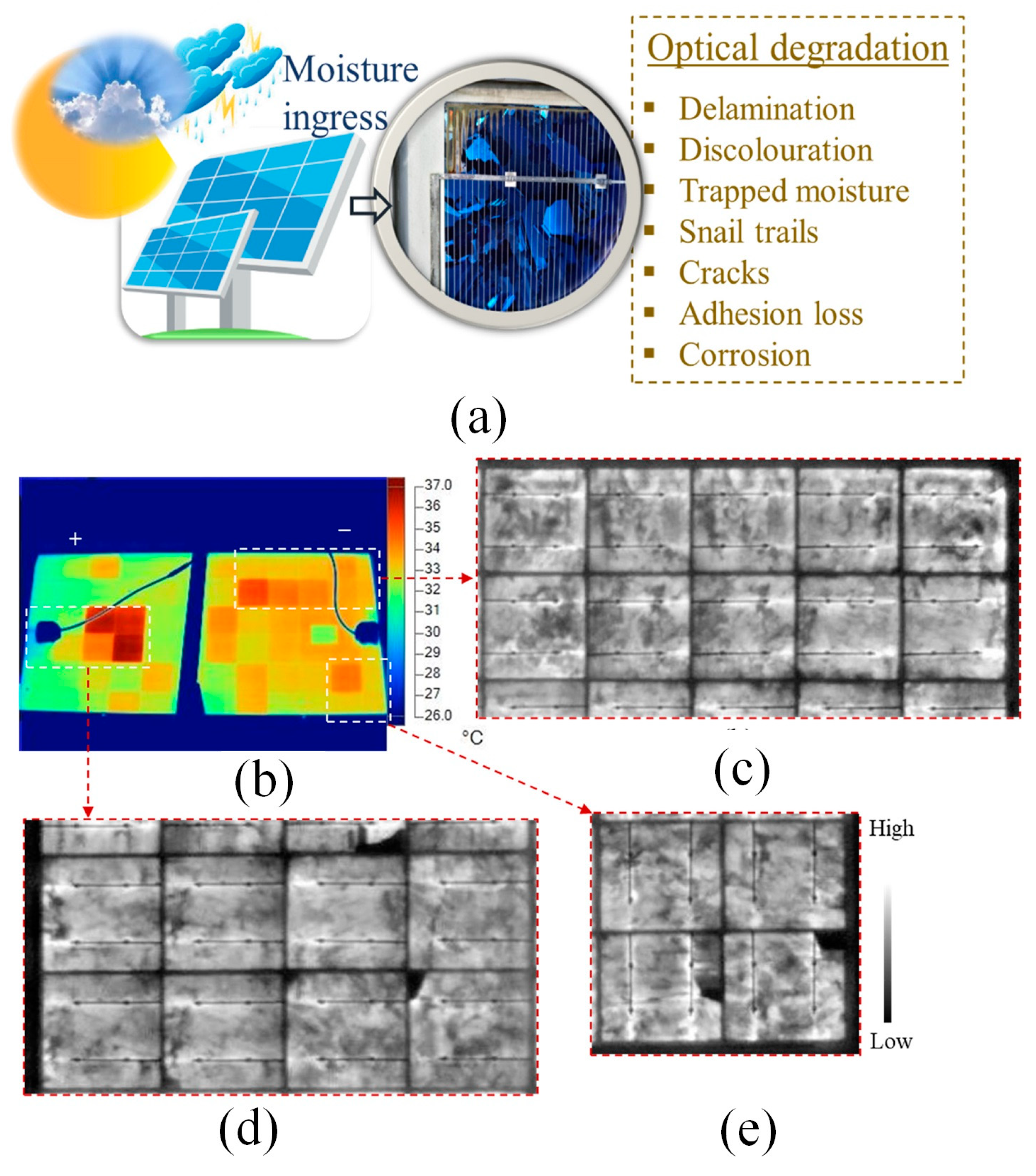 Sensors 23 08780 g009