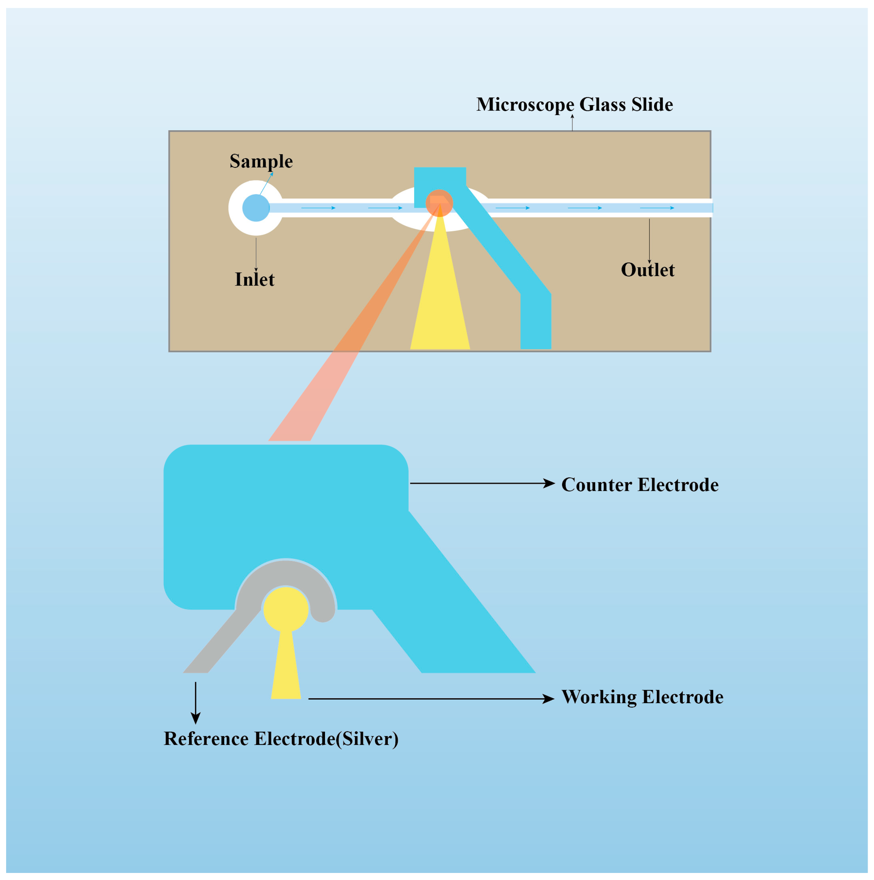 Sensors 23 08813 g003