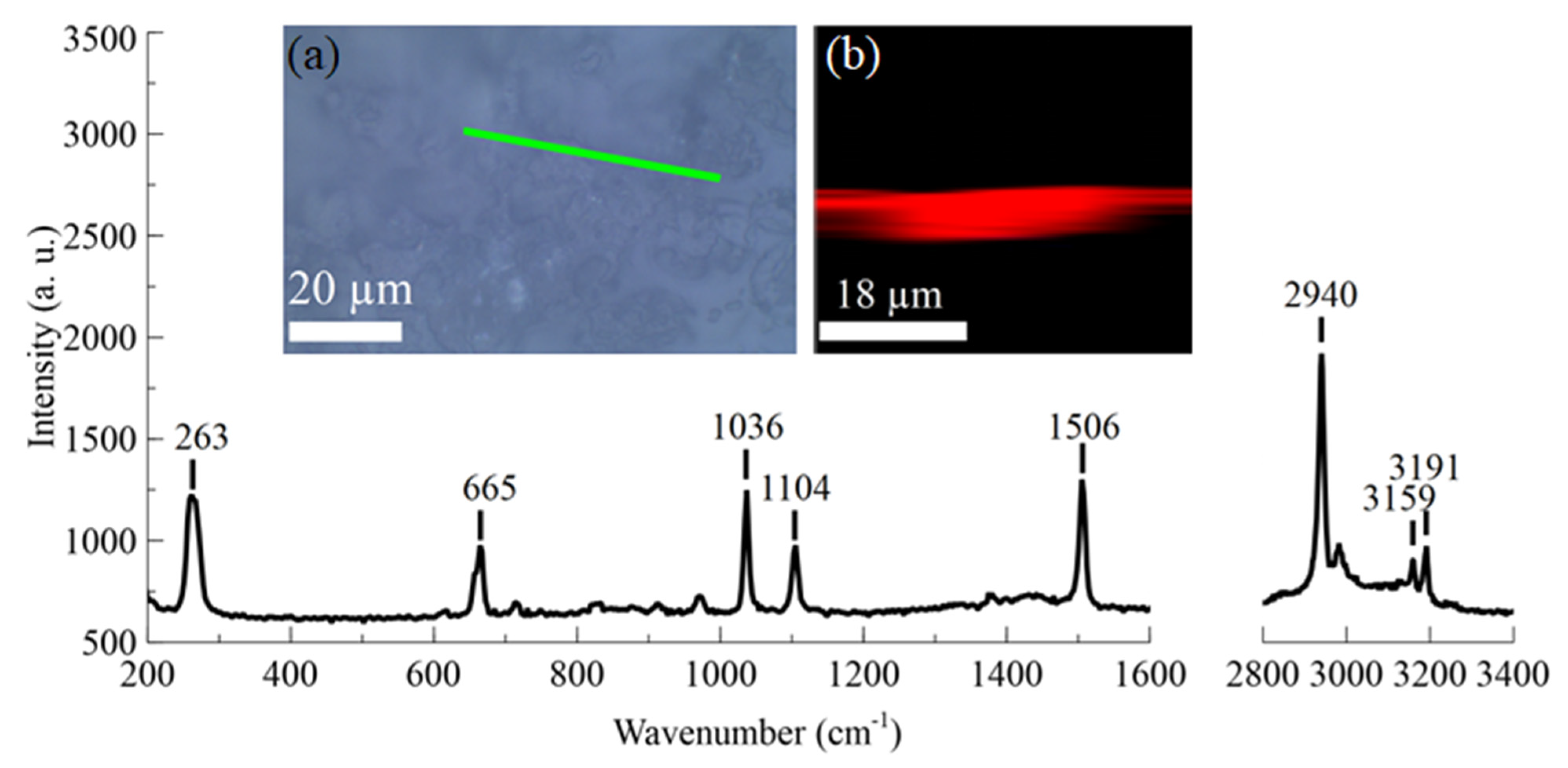 Sensors 23 08827 g005