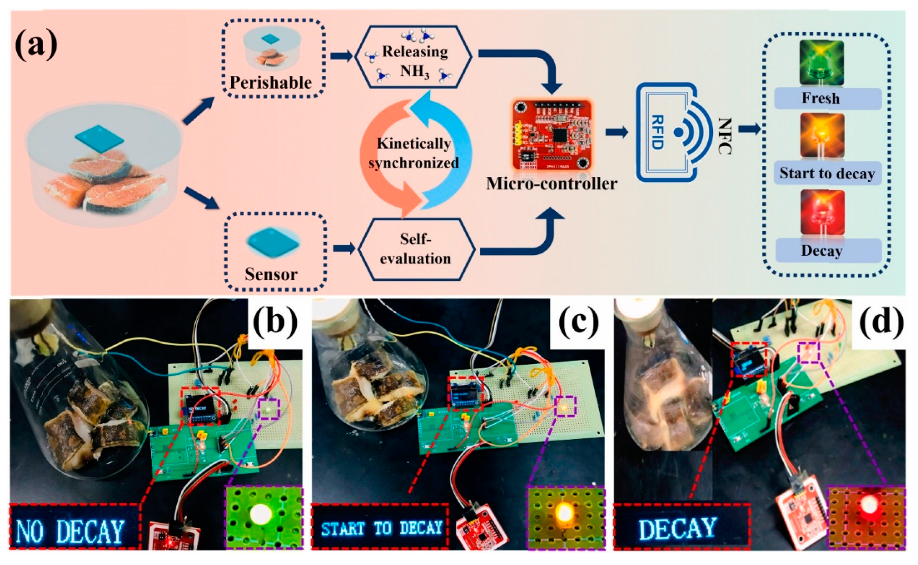 Sensors 23 08829 g010