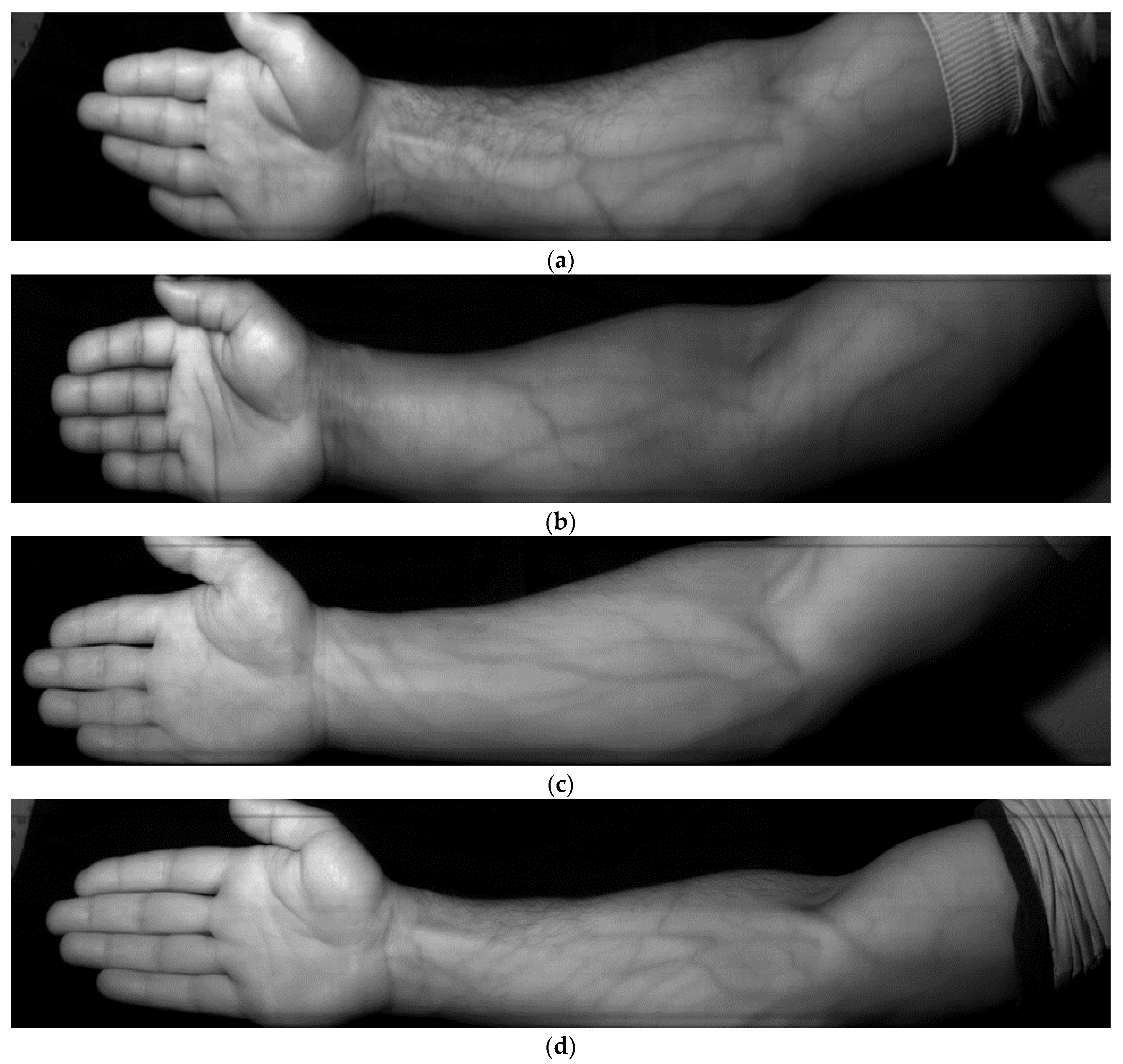 Sensors 23 08895 g003a