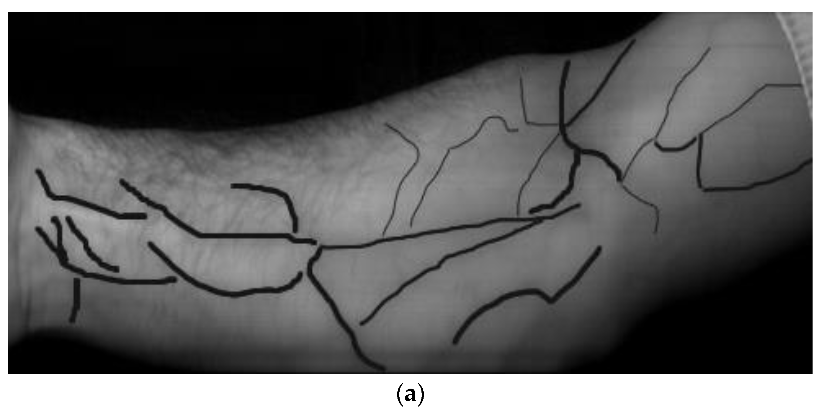 Sensors 23 08895 g004a