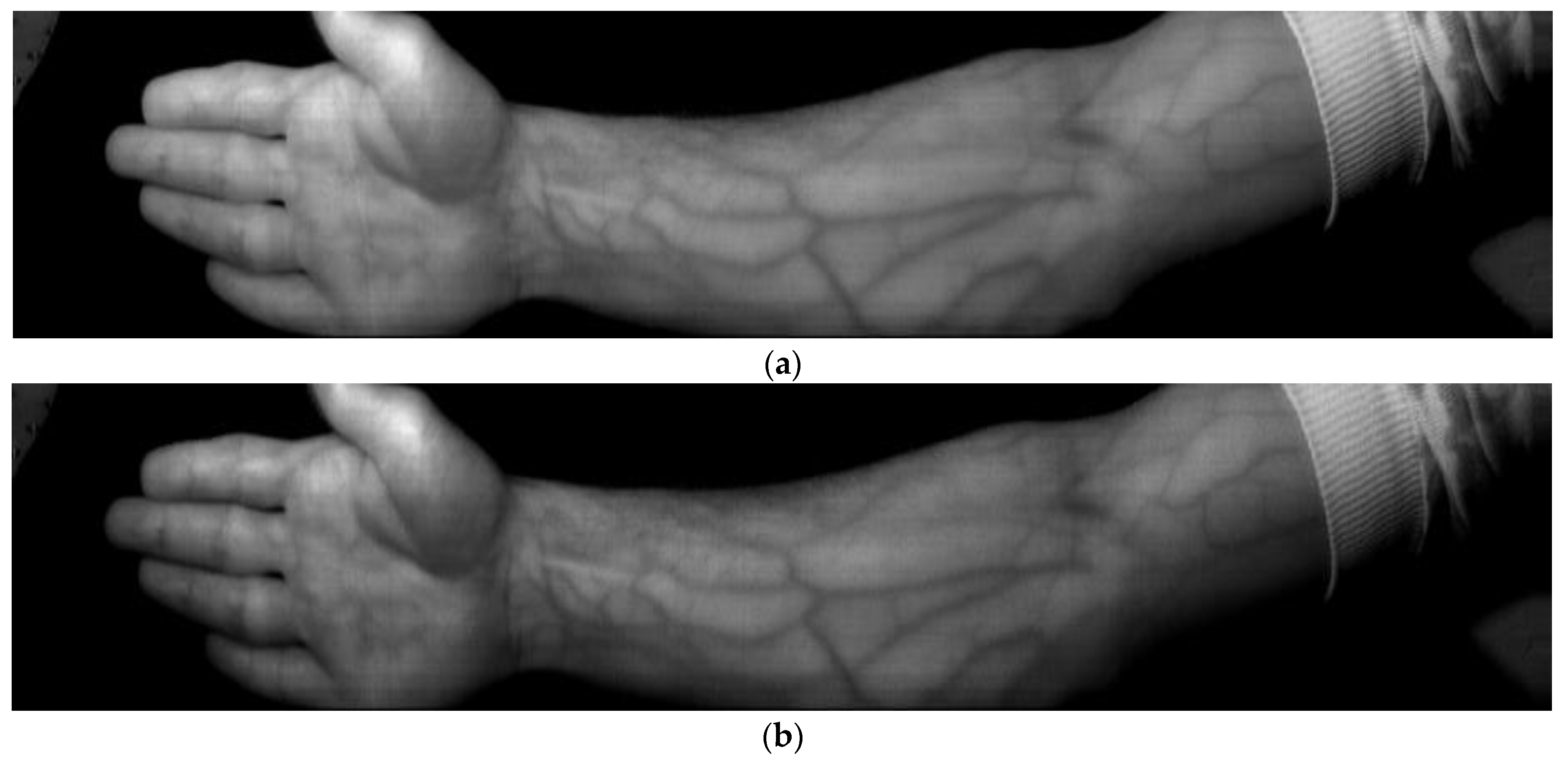 Sensors 23 08895 g005
