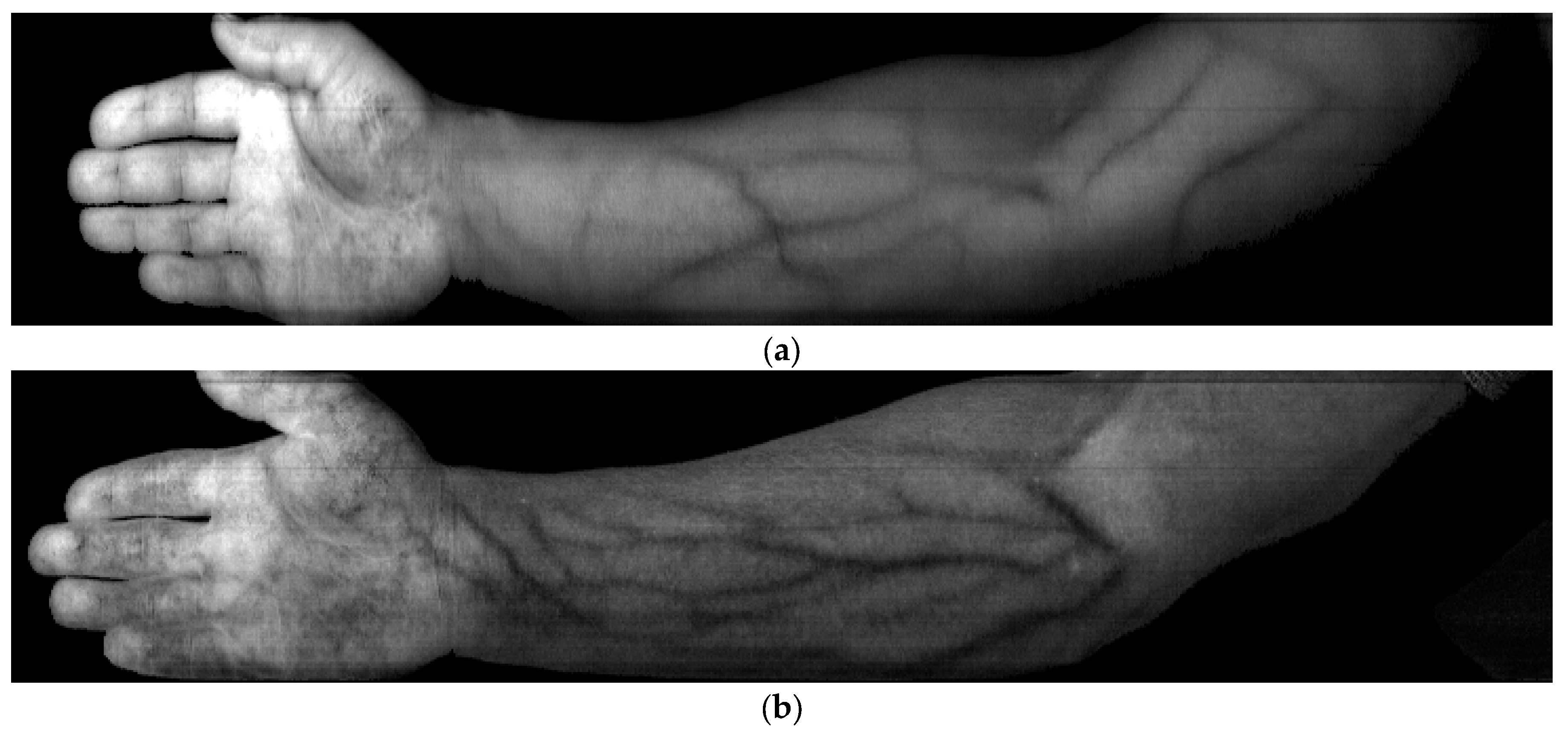 Sensors 23 08895 g006a