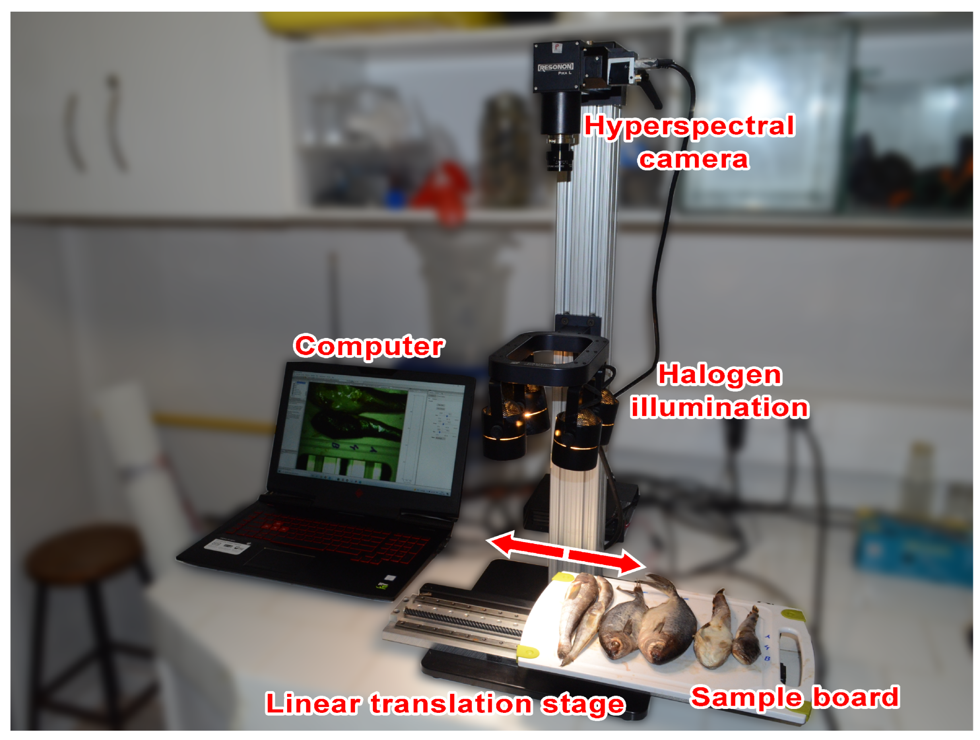 Sensors 23 08909 g001
