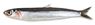 Sensors 23 08909 i001