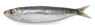 Sensors 23 08909 i005