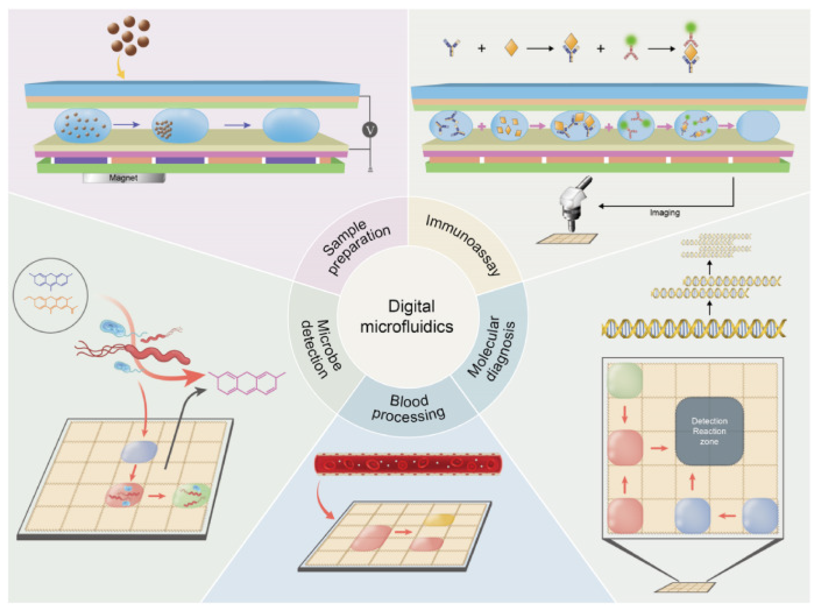 Sensors 23 08924 g001