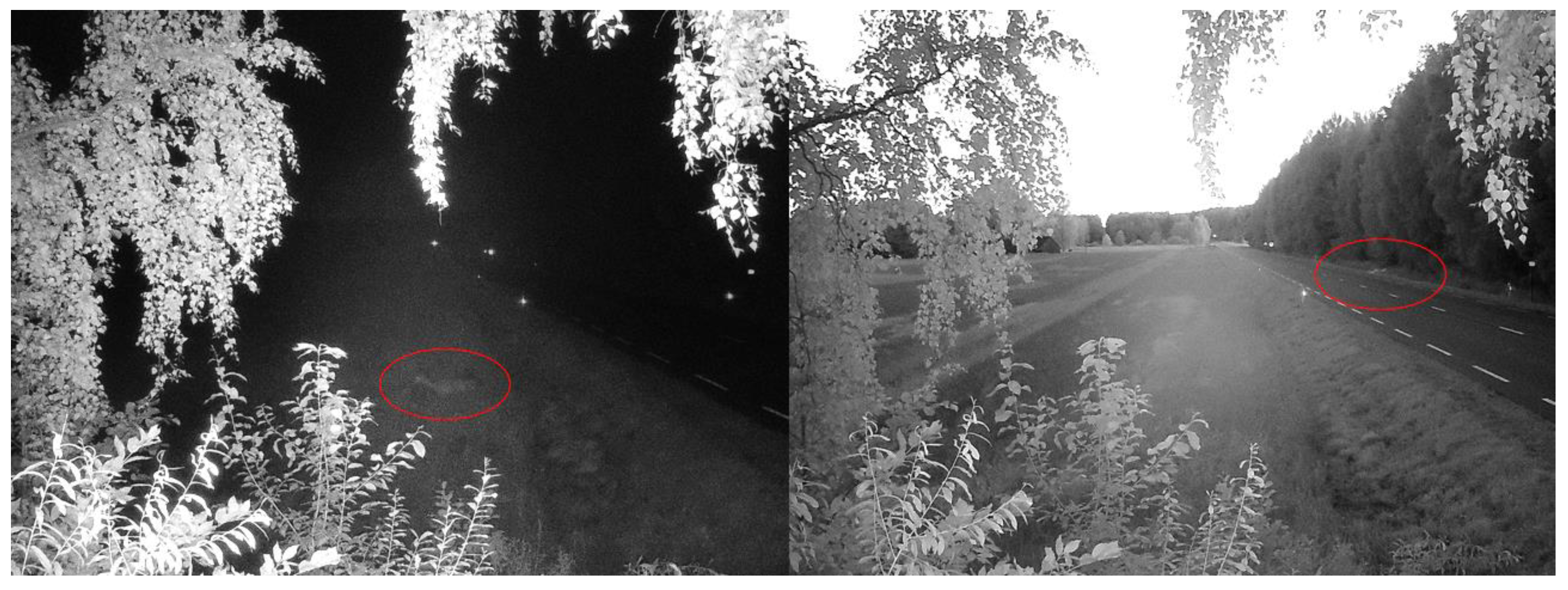 Sensors 23 08929 g010