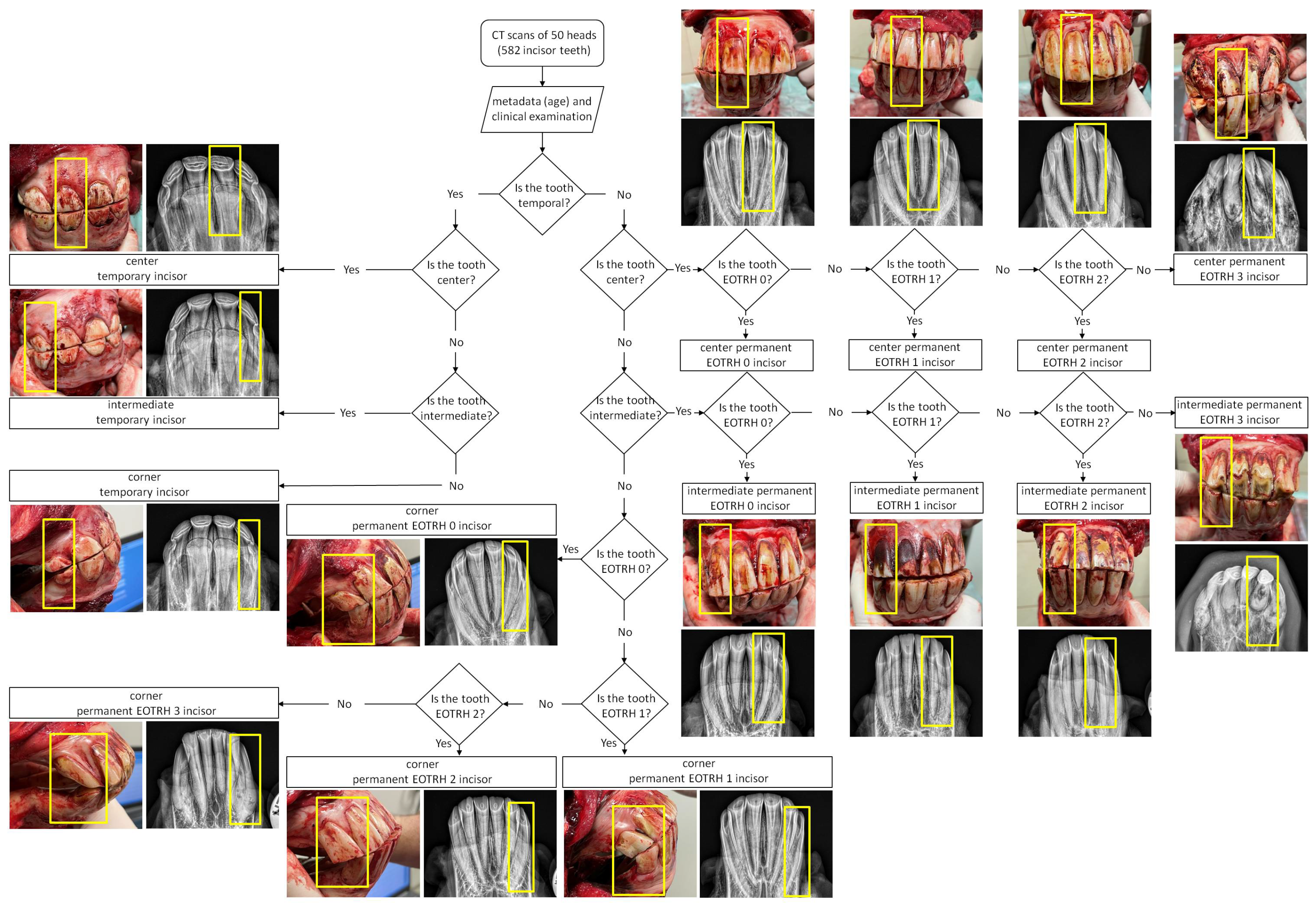 Sensors 23 08940 g001