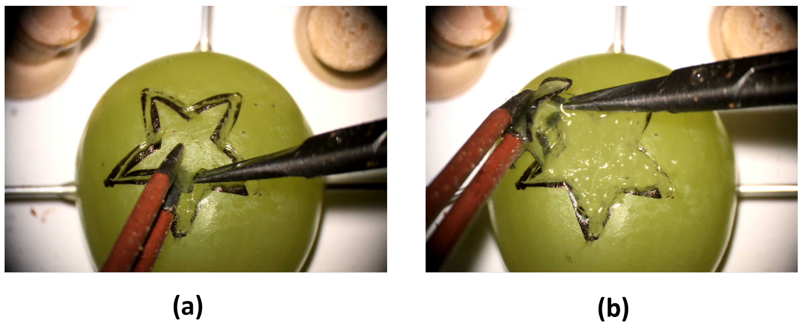 Sensors 23 08947 g002