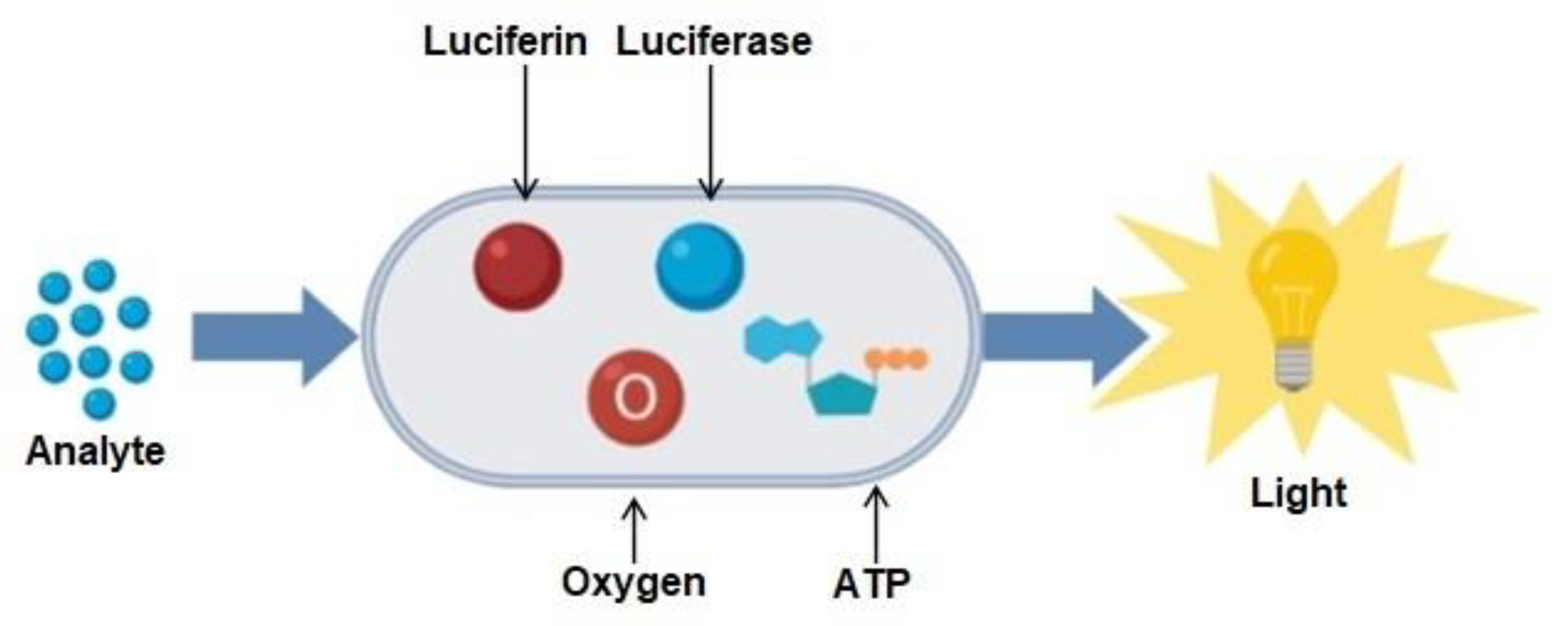 Sensors 23 08972 g004