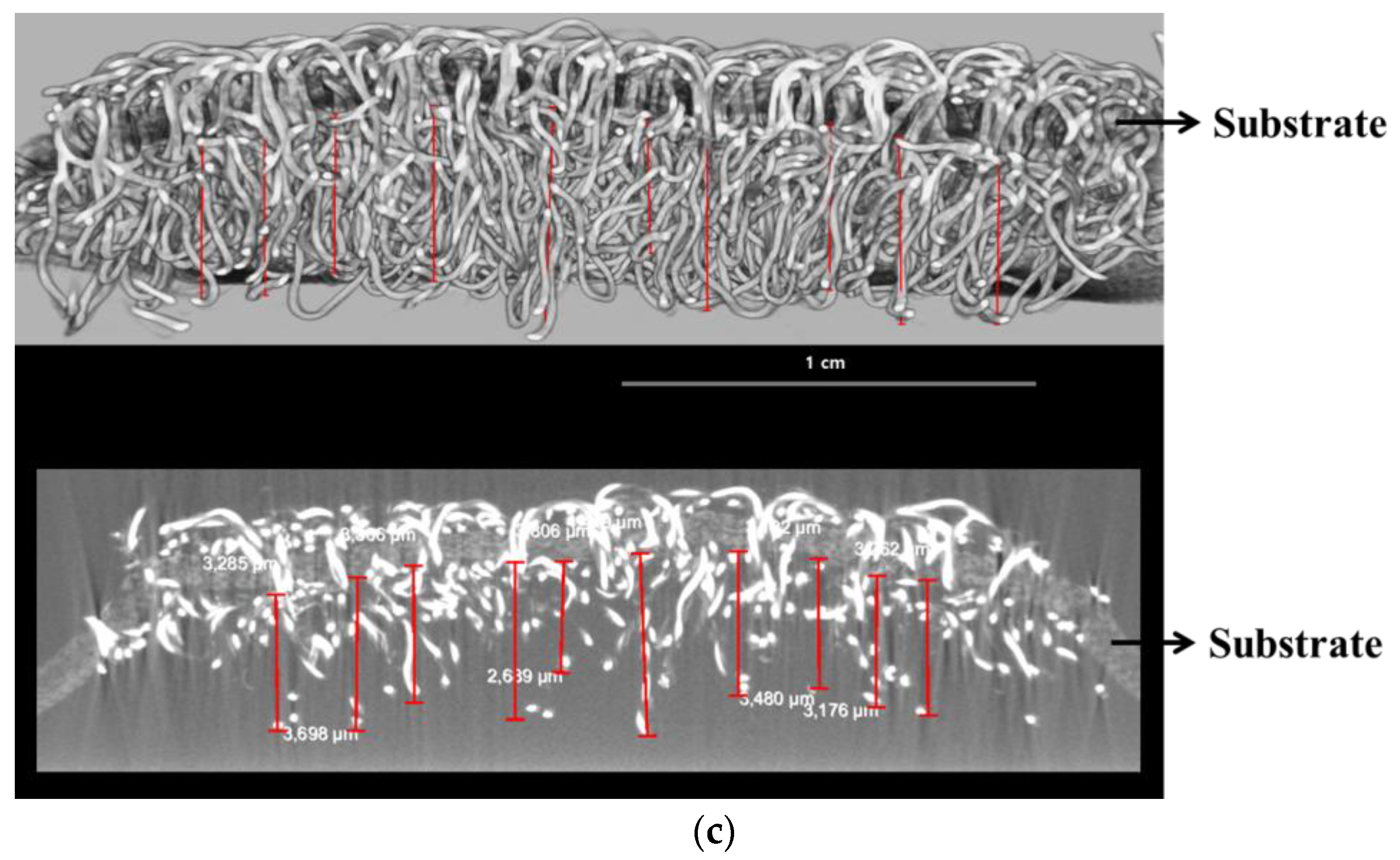 Sensors 23 09012 g001b