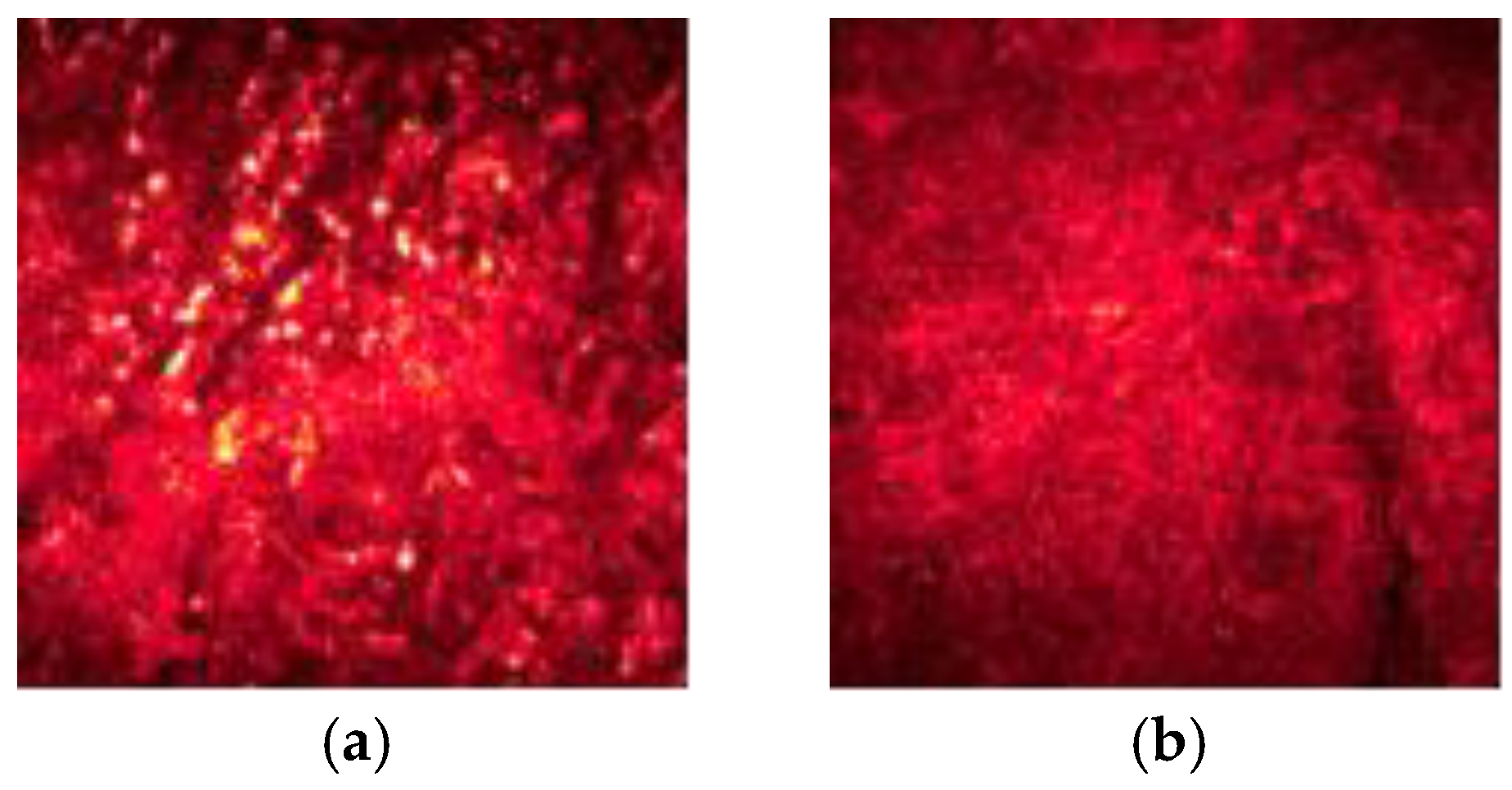 Sensors 23 09113 g003