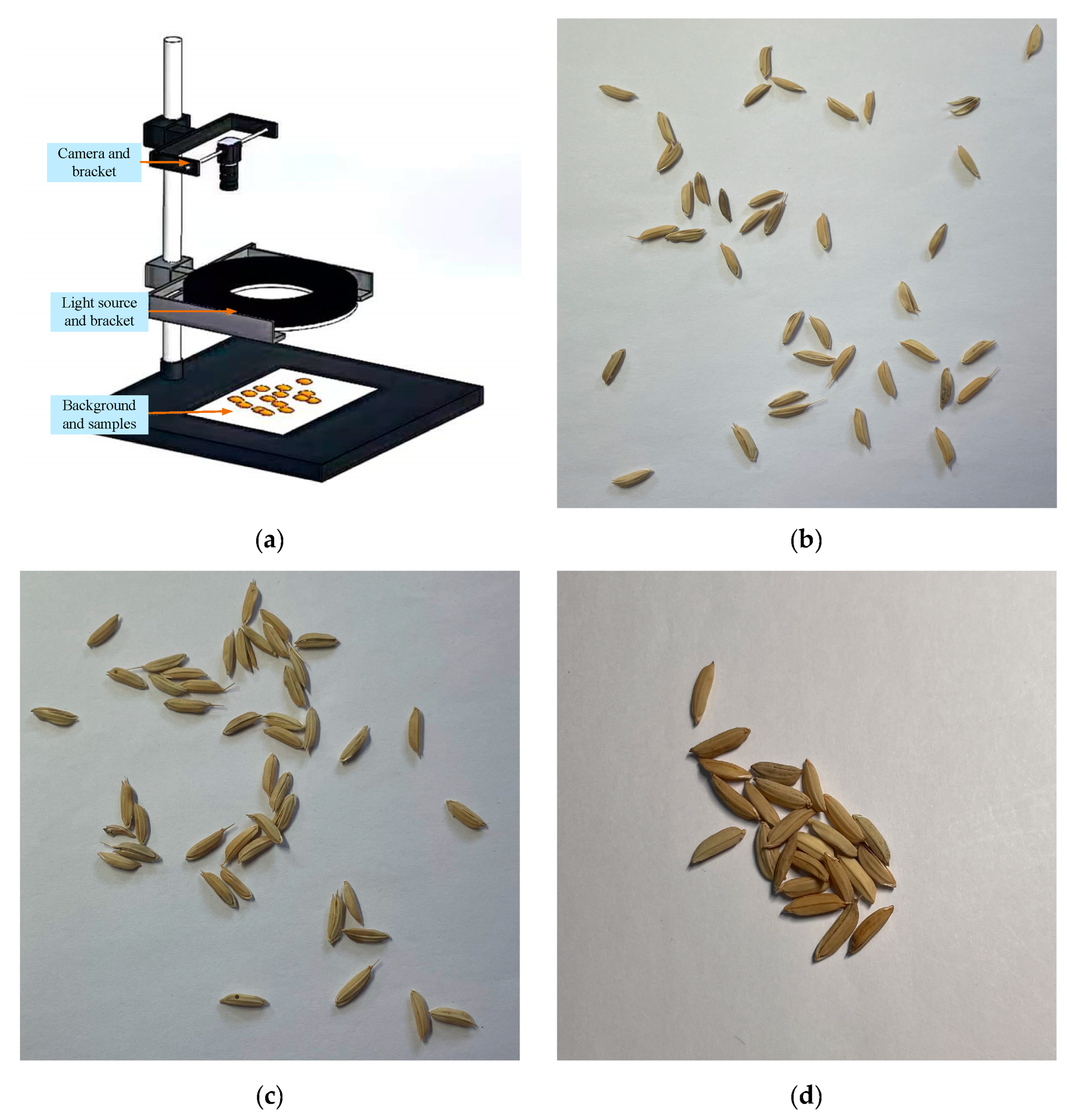Sensors 23 09129 g001