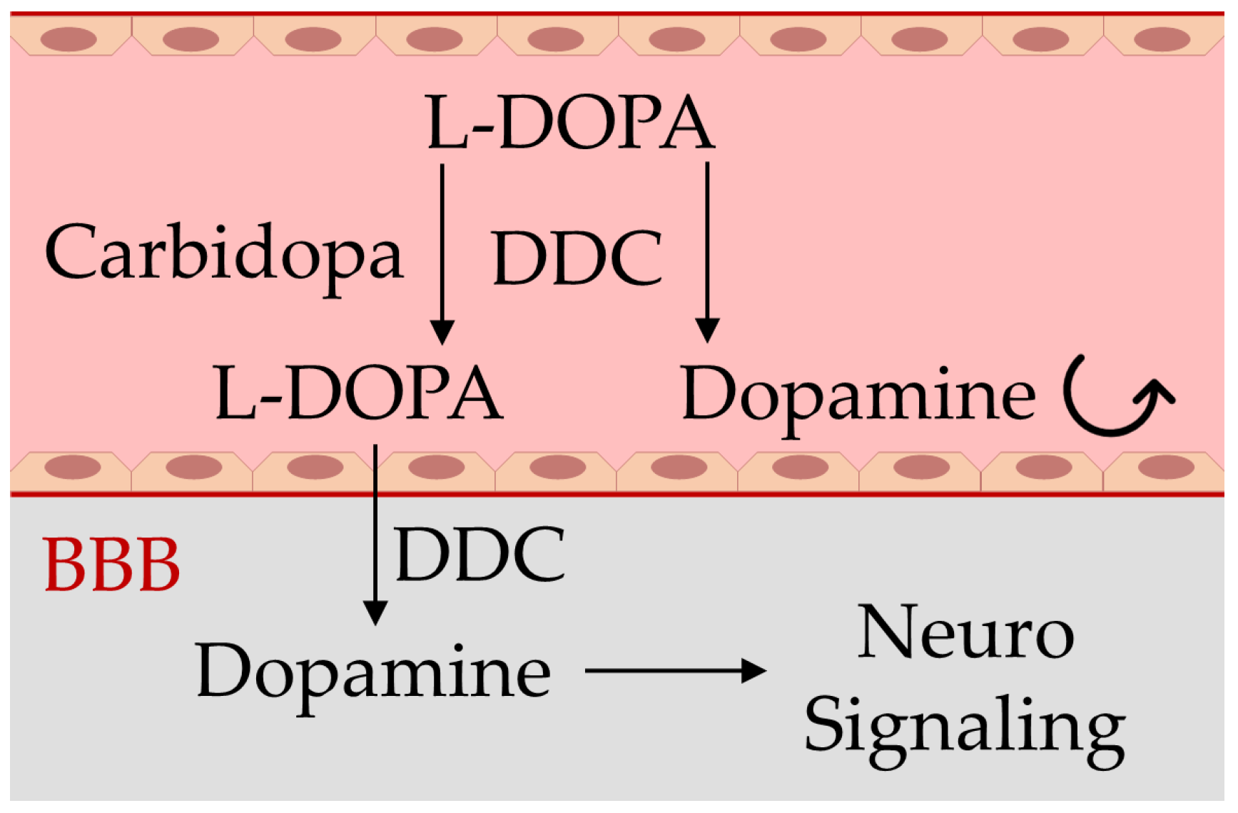 Sensors 23 09142 g001