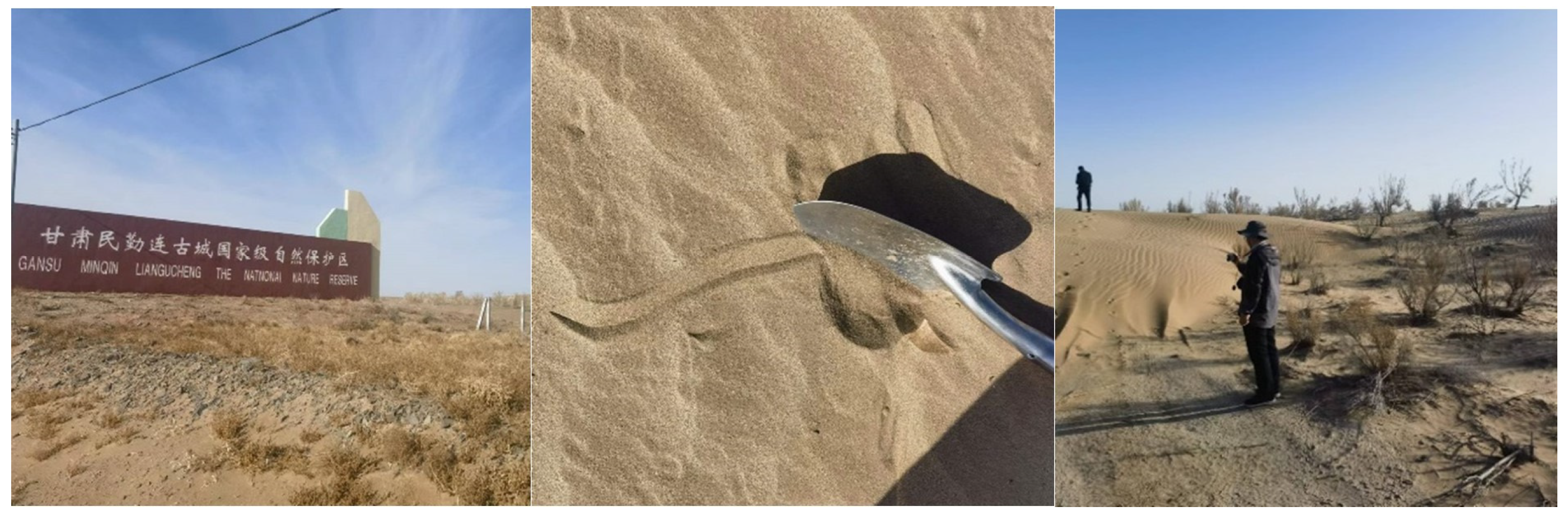 Sensors 23 09173 g008